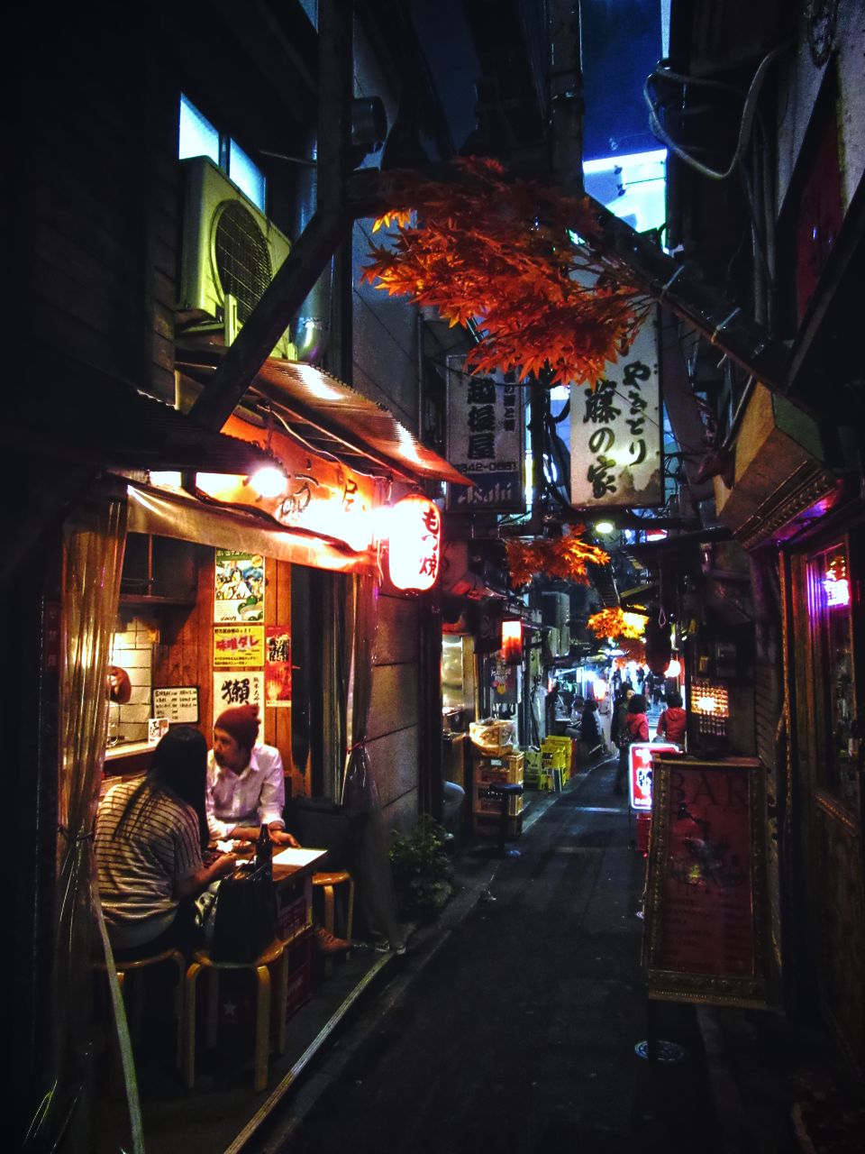 "Piss Alley" (Tokyo)