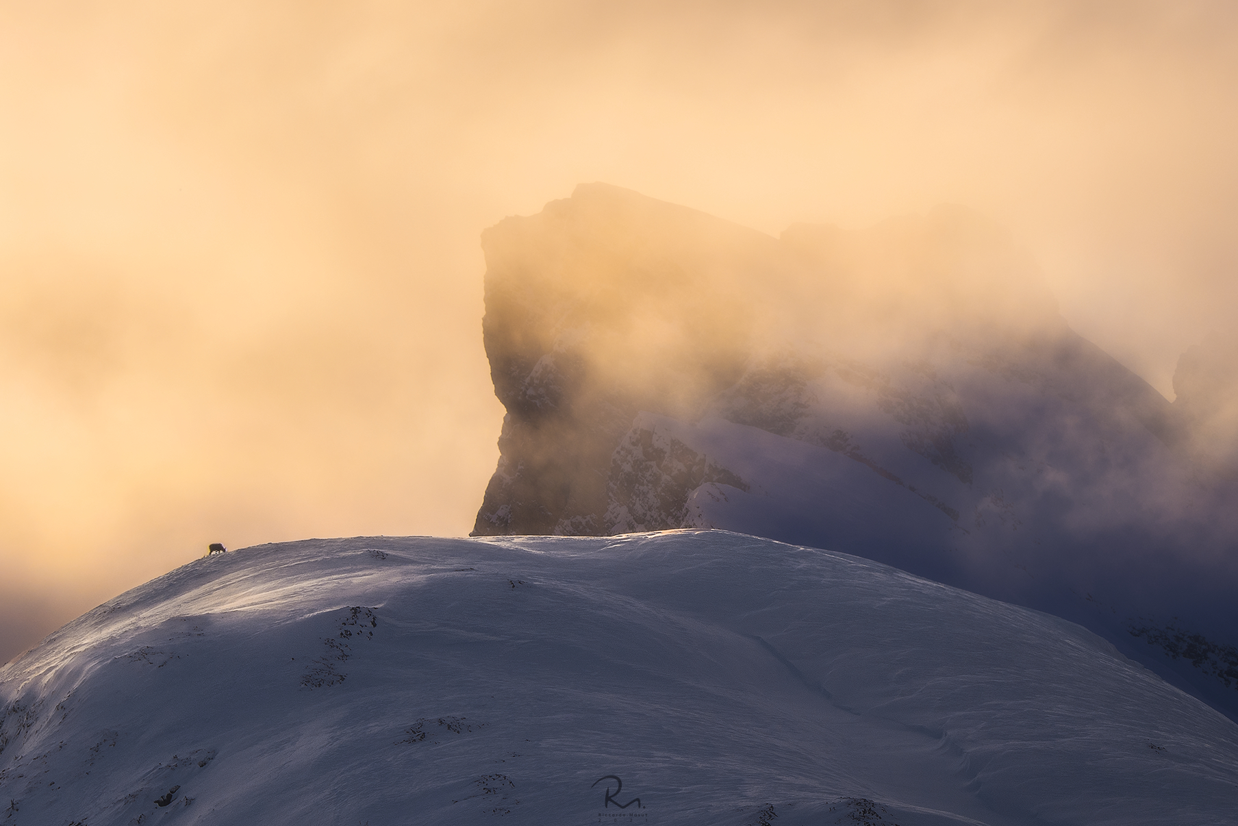 Guardian of Mountain