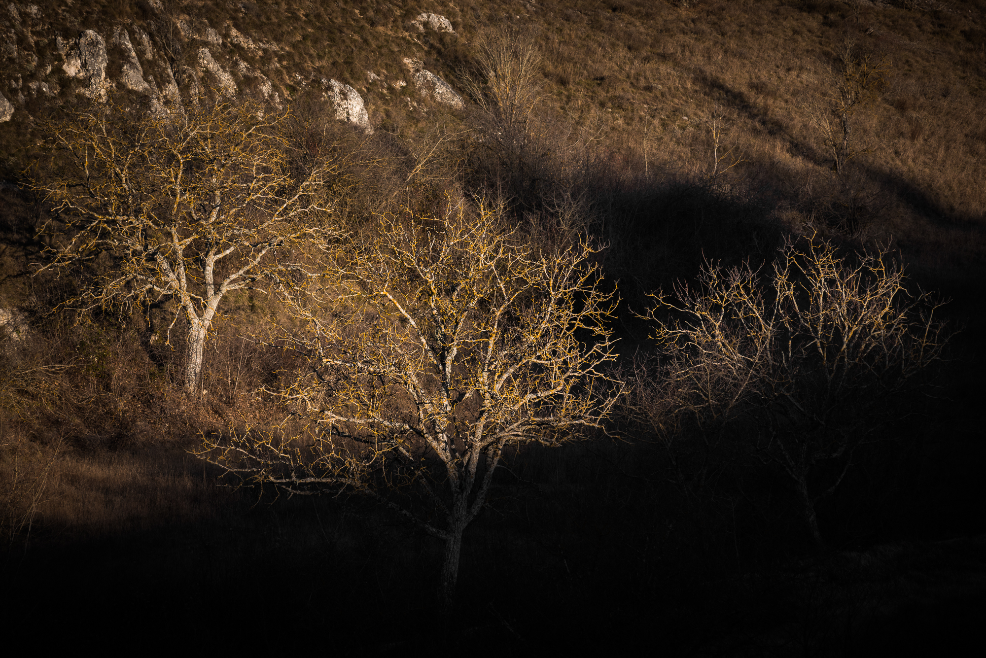 Cercasi luce, disperatamente
