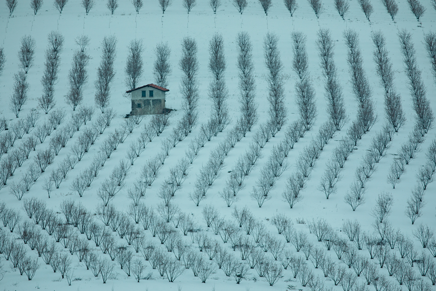 Winter