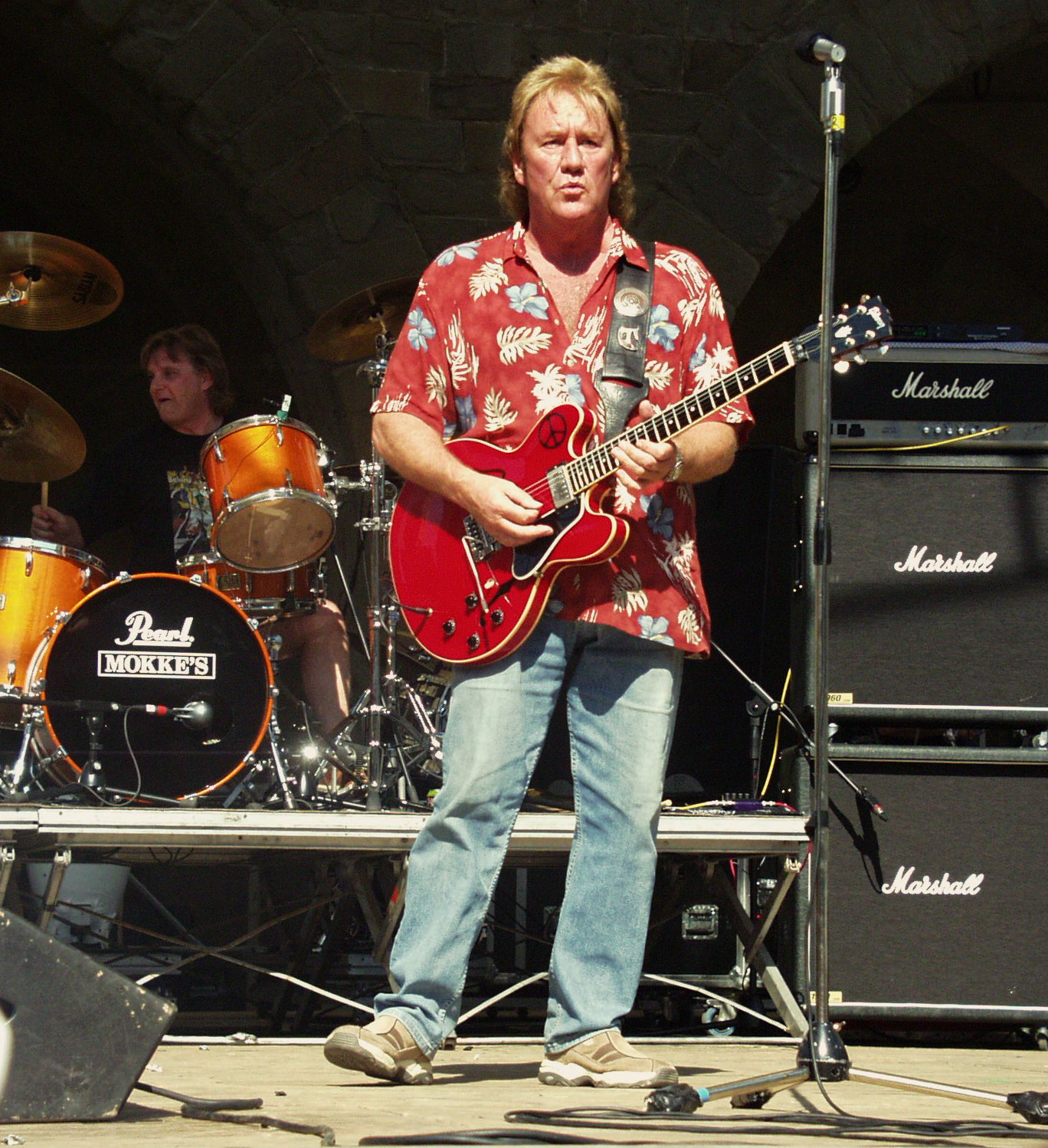 Alvin Lee 2004