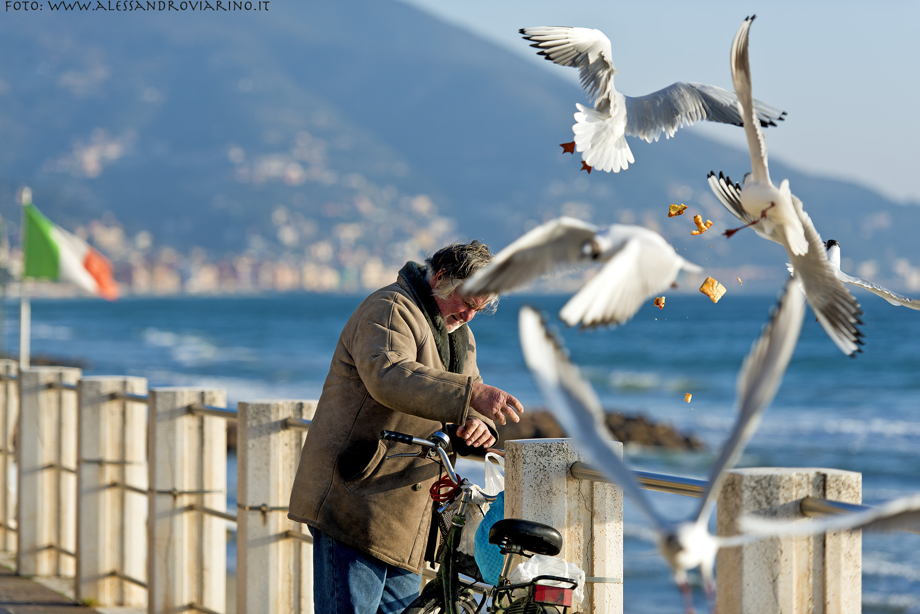Matteo ... the friend of seagulls