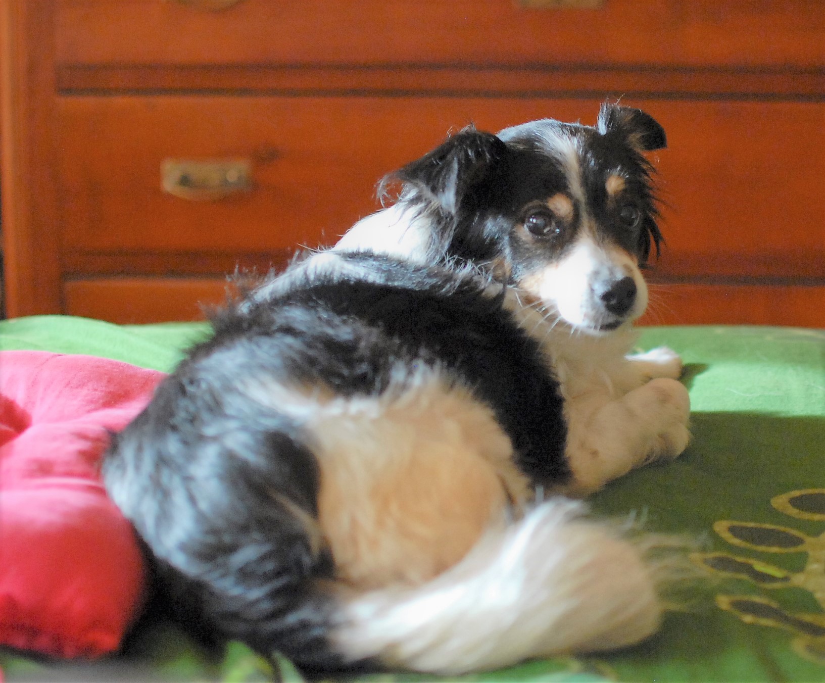 Milla "Lyudmilla Dragomiroff"