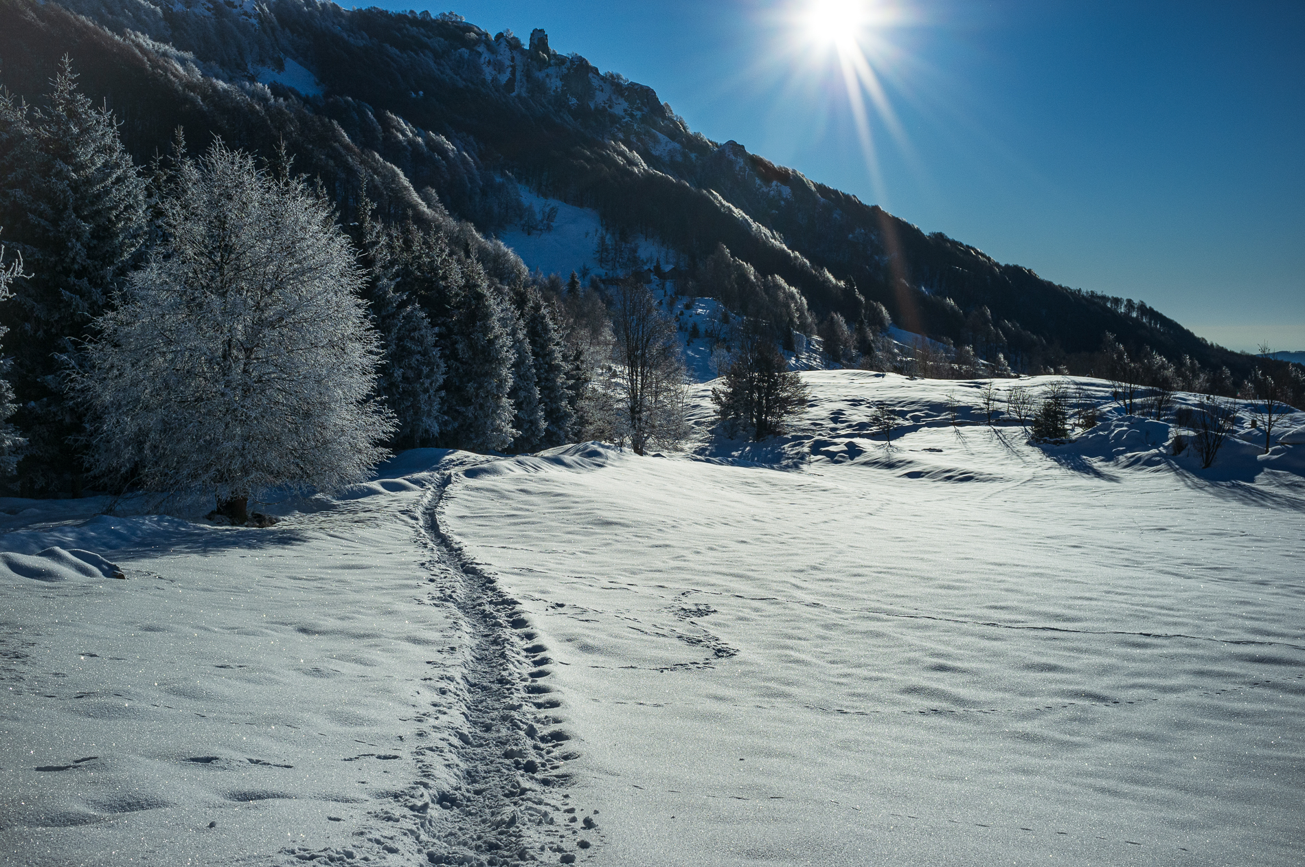 Voltandosi indietro...
