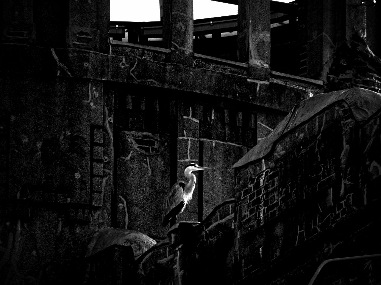 Guardians of Hiroshima