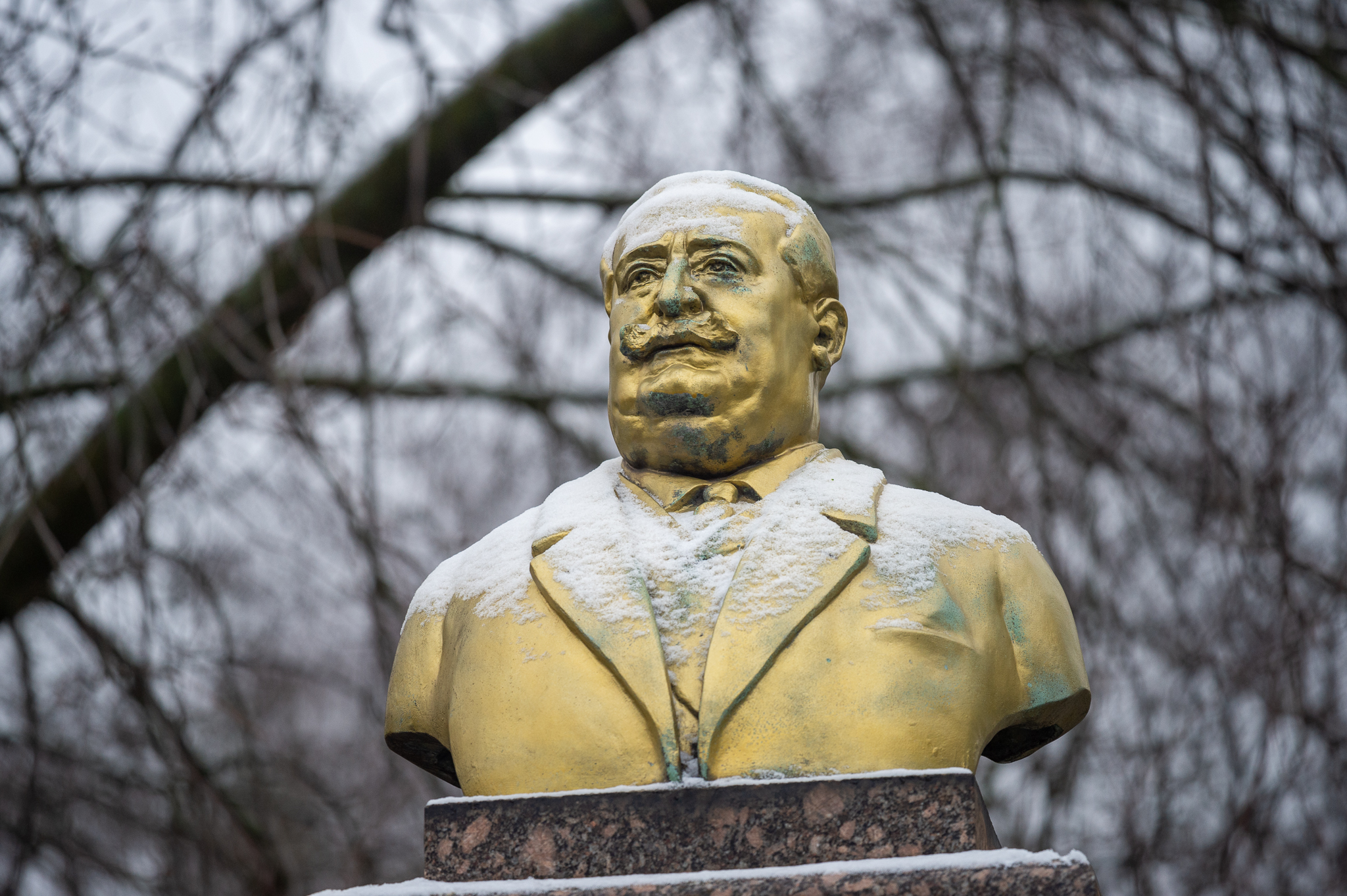 Charles Saint Venant