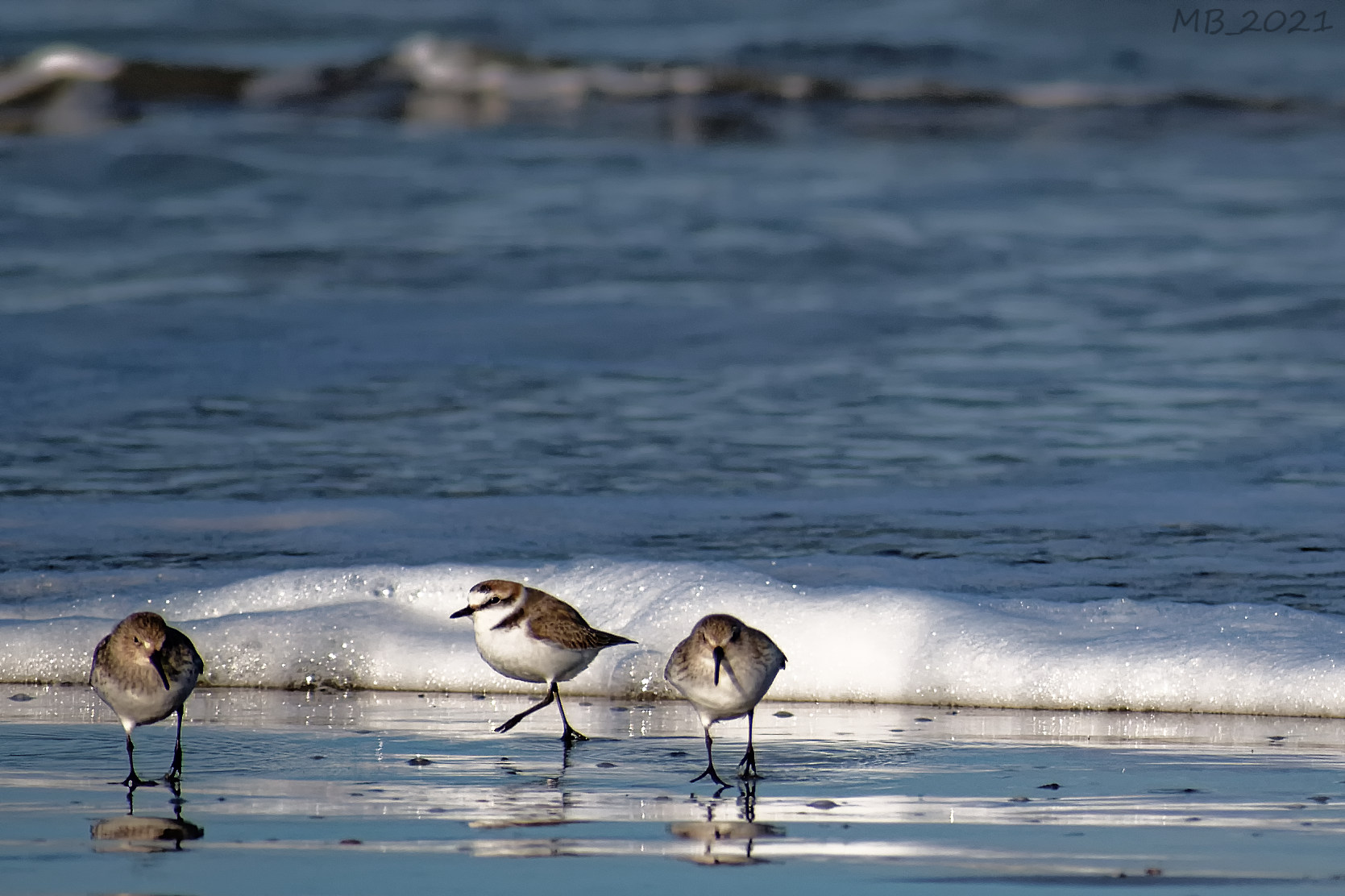 Friars fleeing the waves