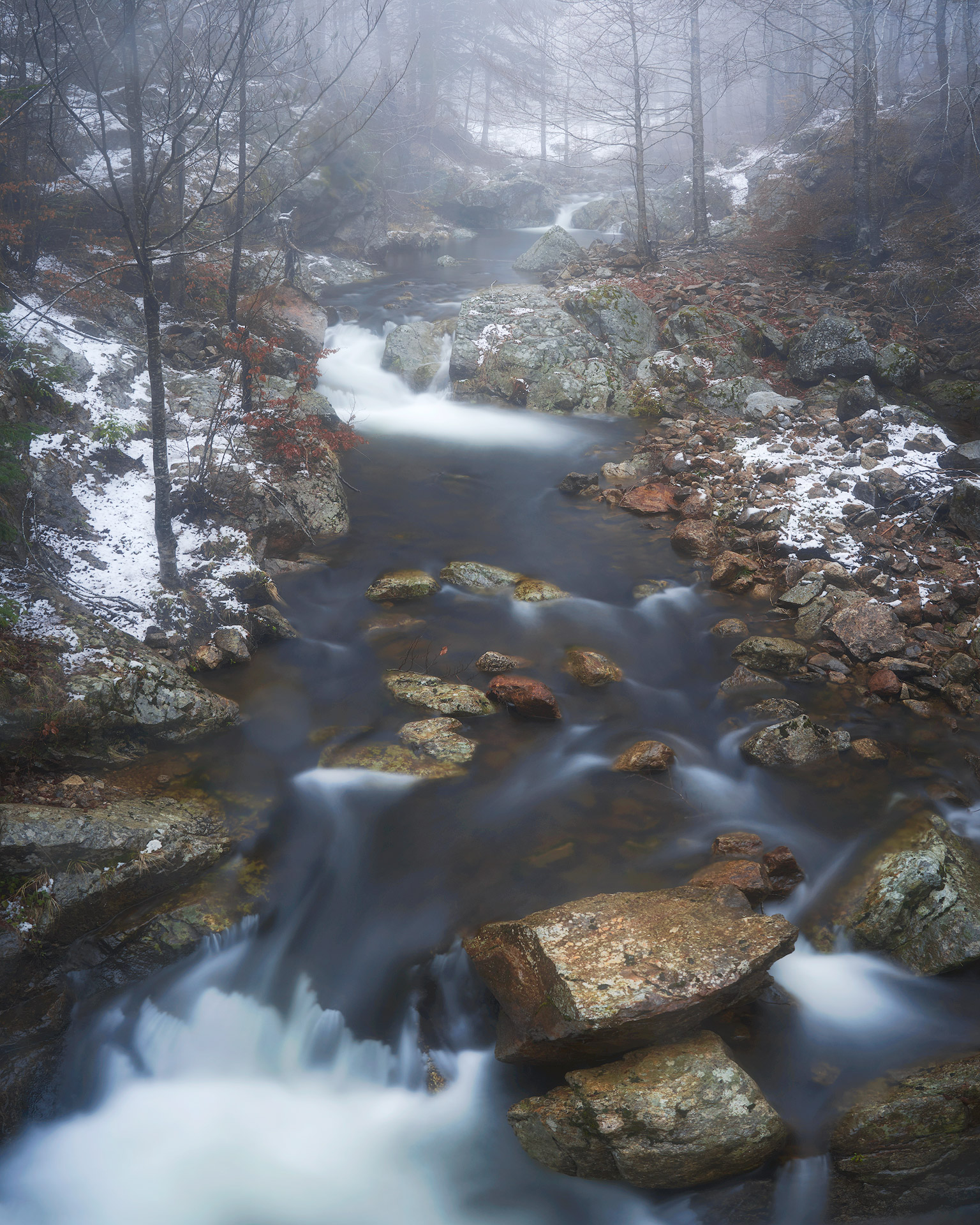 In winter, along the stream
