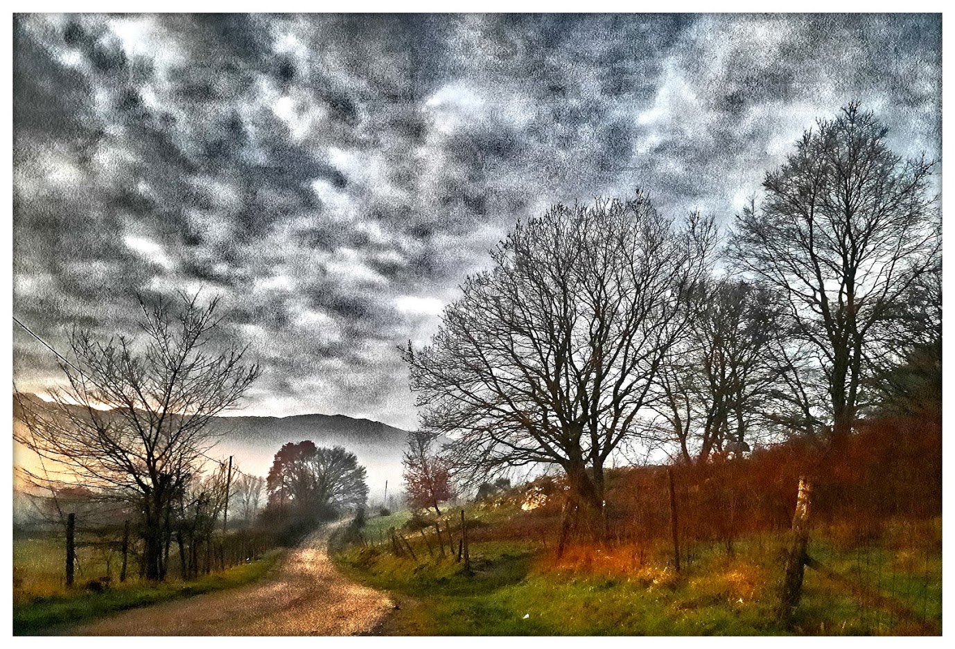 Alba di caccia