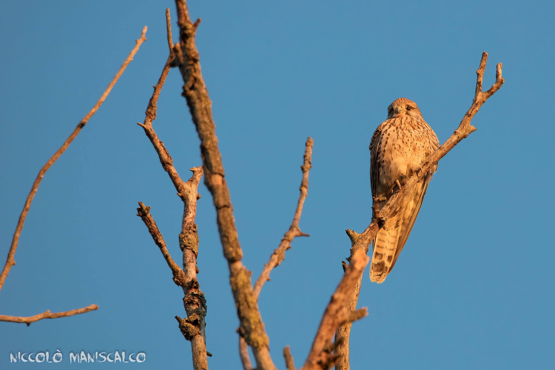 A pochi istanti dal tramonto
