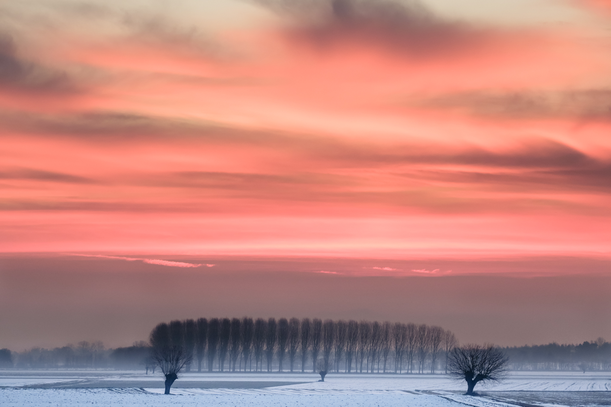 Winter sunrise