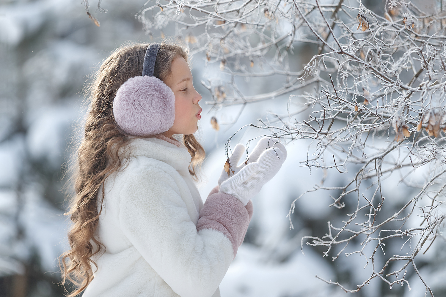 Il racconto dell'inverno