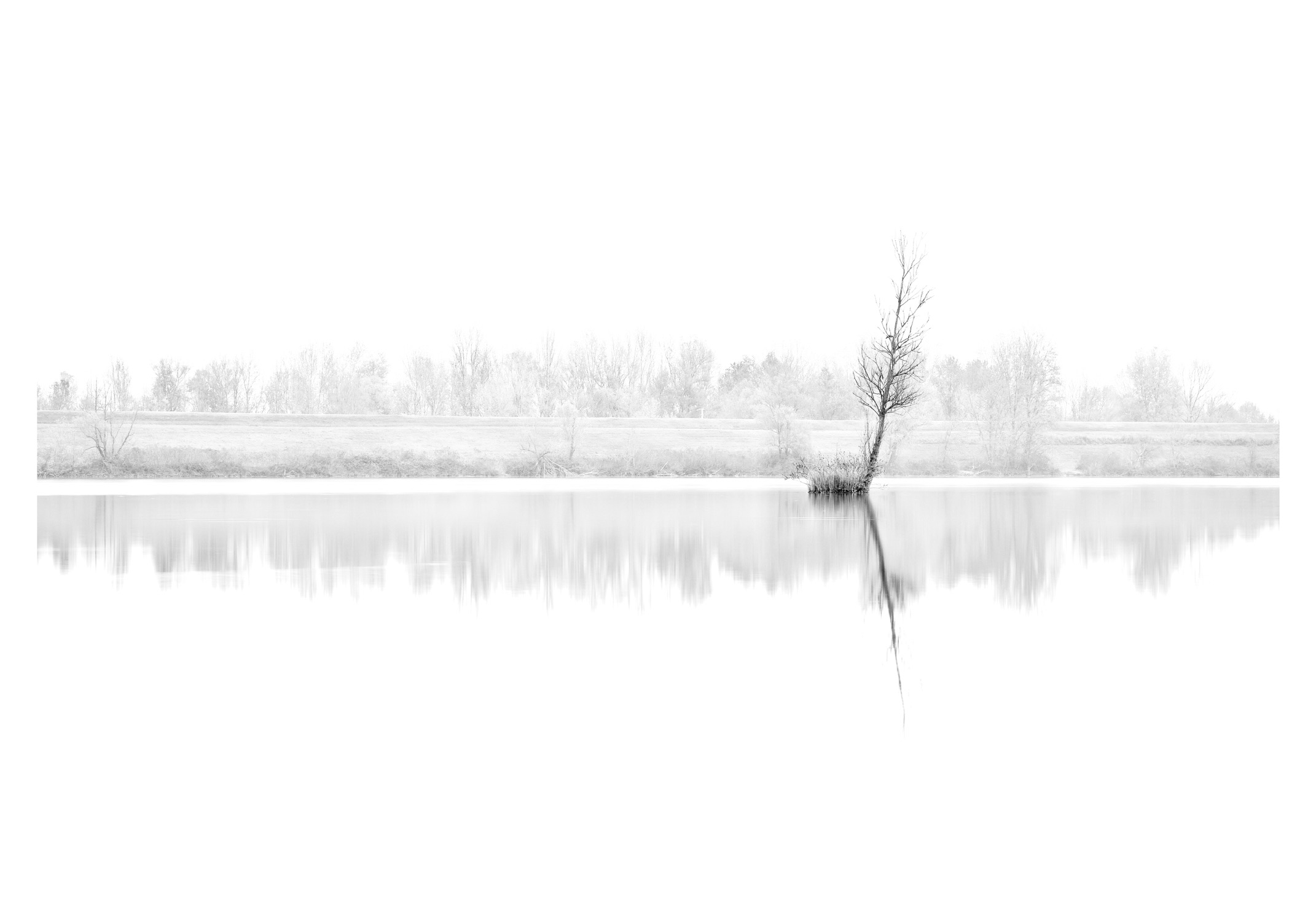 Lockdown - Zona Arancione