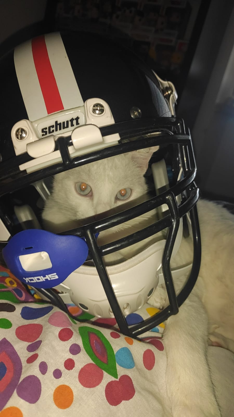 Neco football