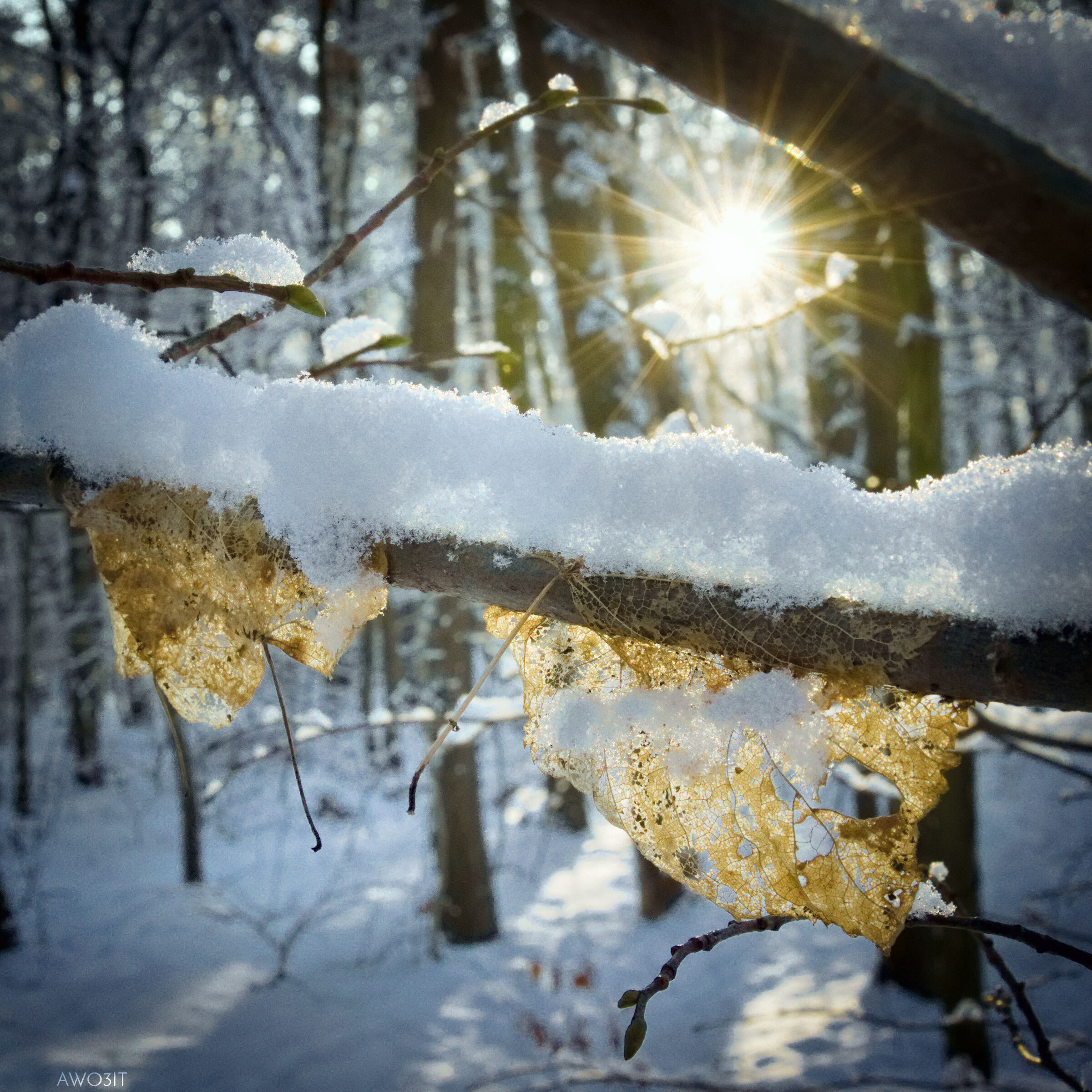 Febbraio è sensitivo