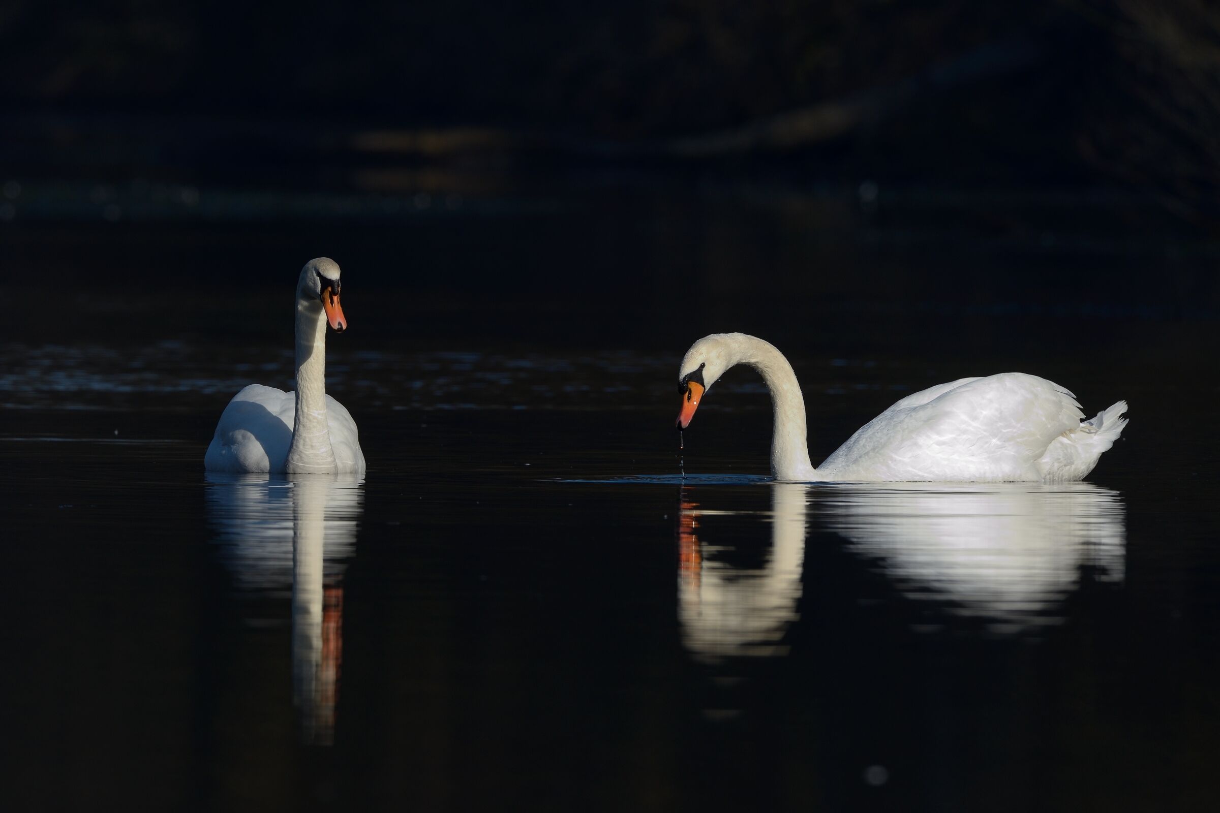 Reflections on Ticino