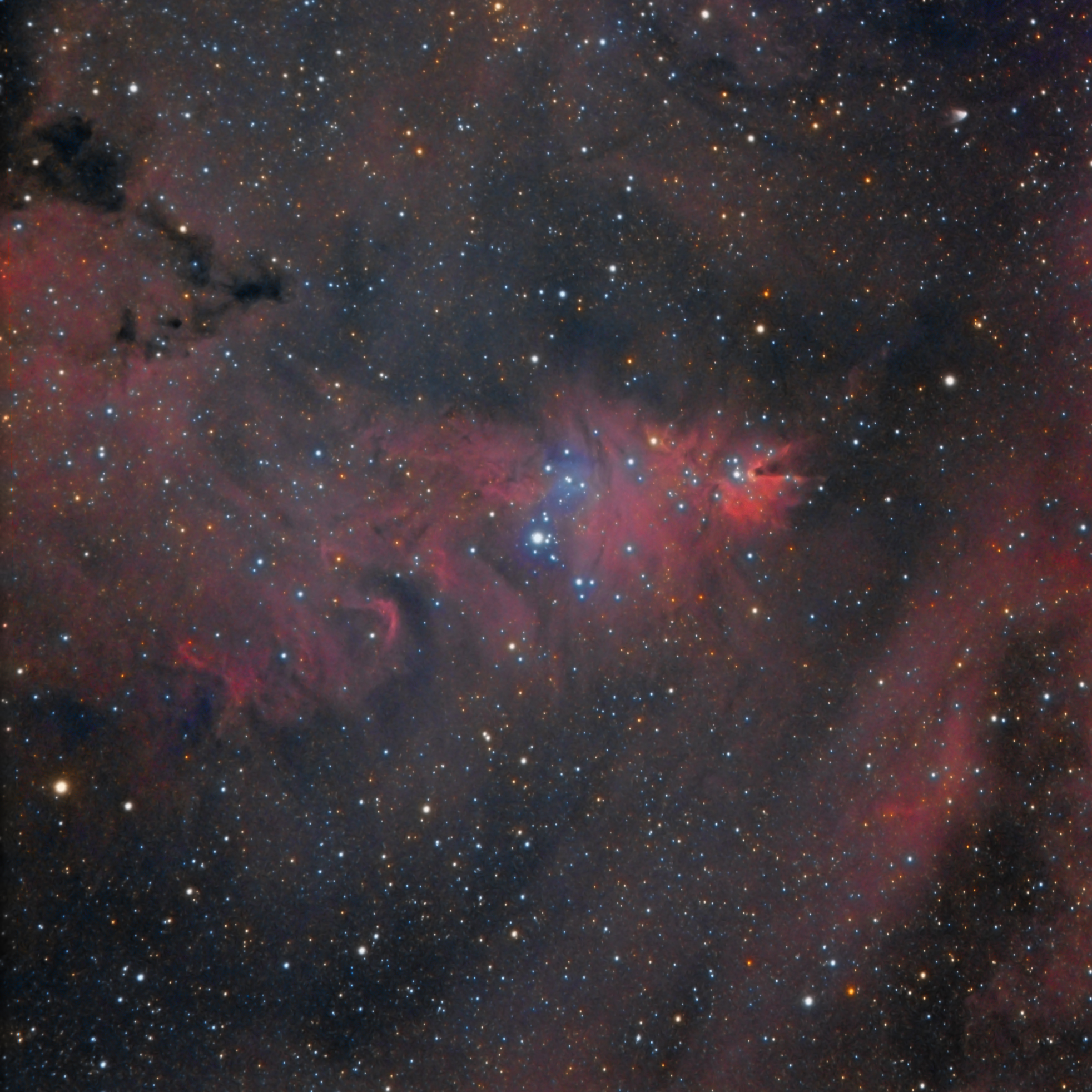 NGC2264 and Cone Nebula