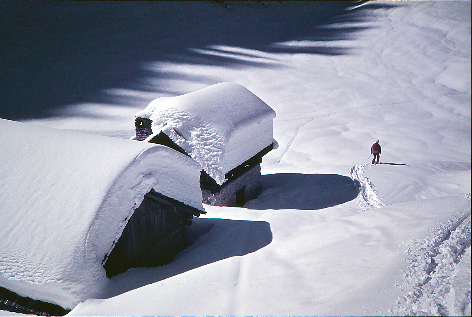 A proposito di nevicate.