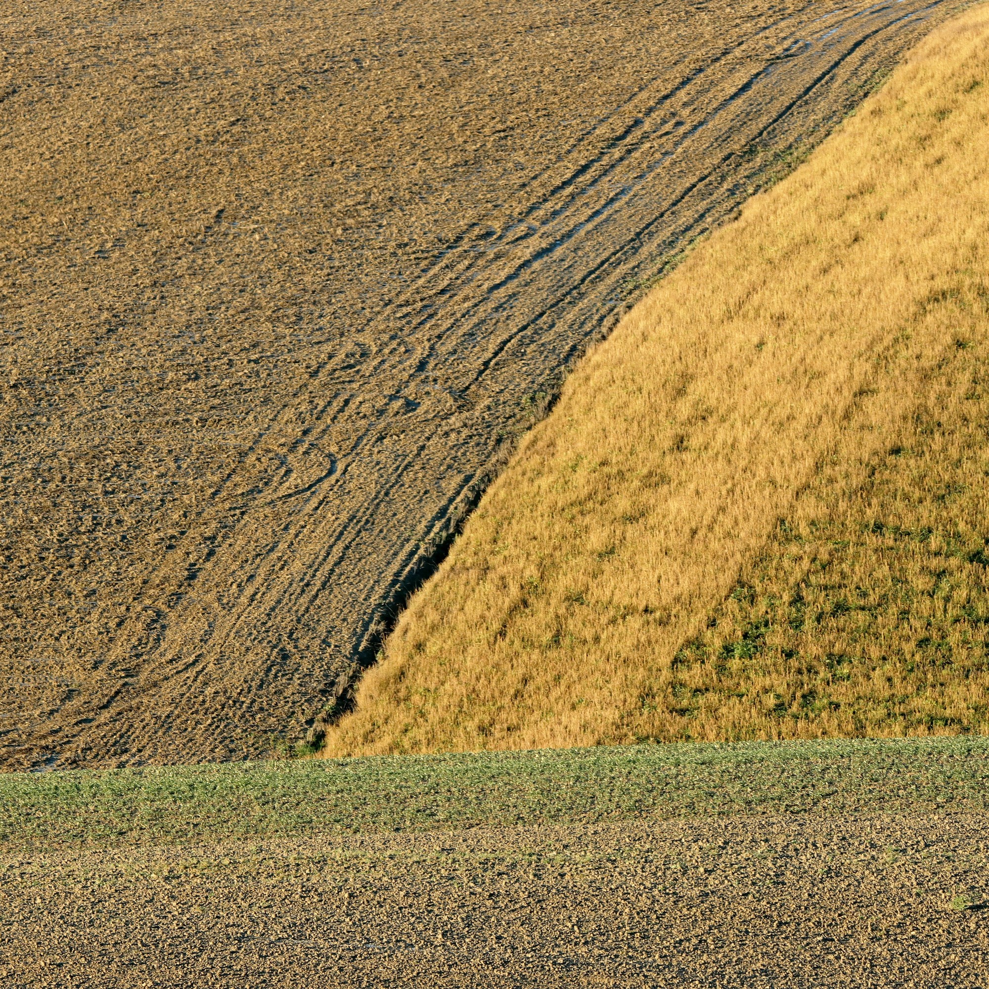 Ritorno al ... passato