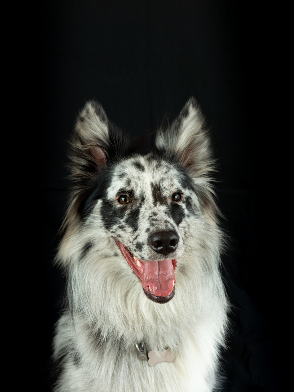 Axel