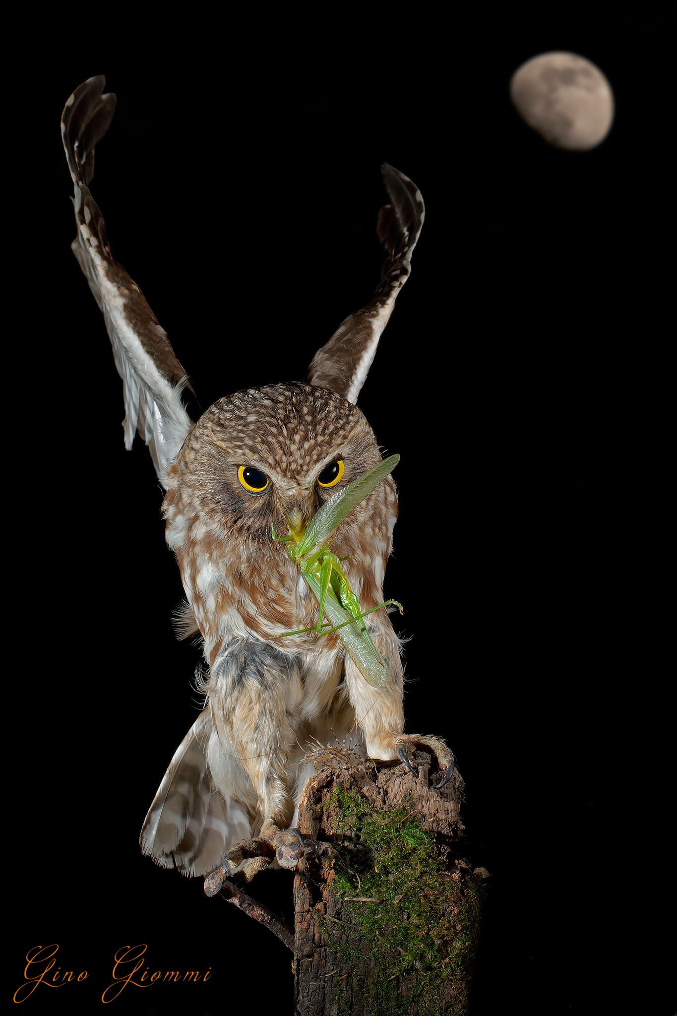 Unione di due scatti