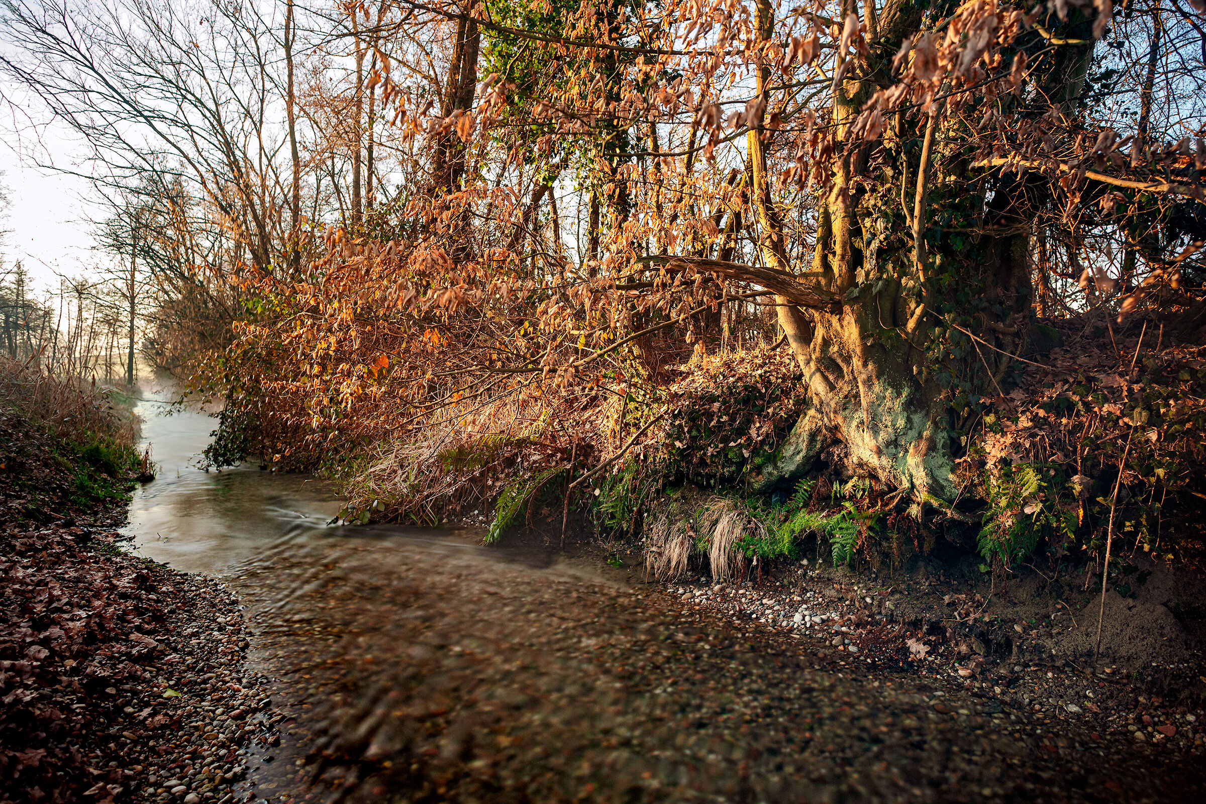 Seduto in riva al fosso