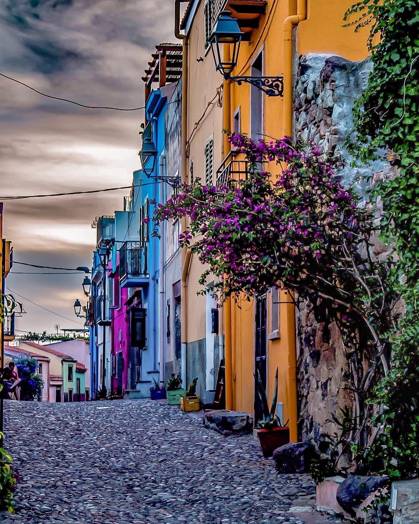 Bosa