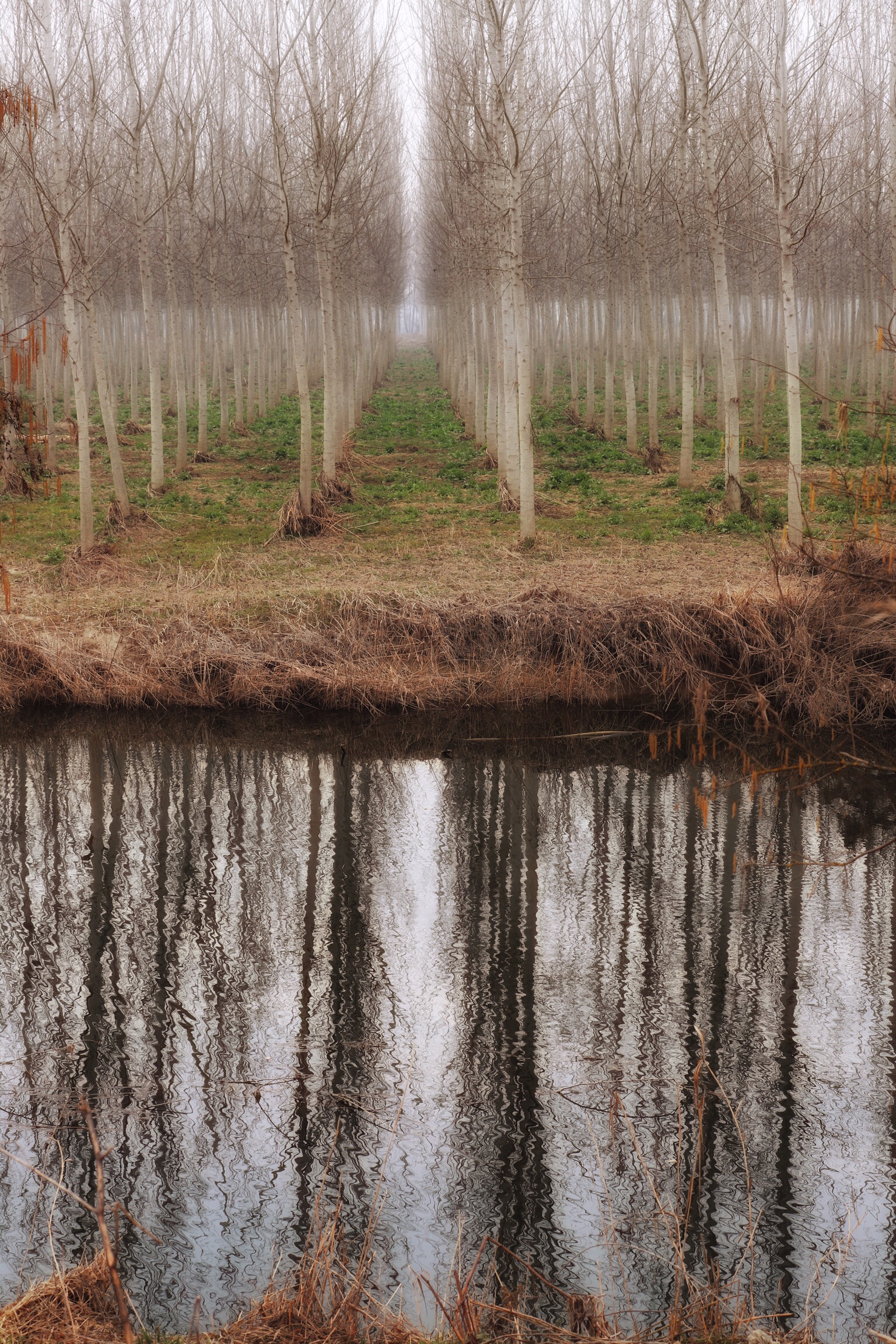 Oltre il fosso d'acqua