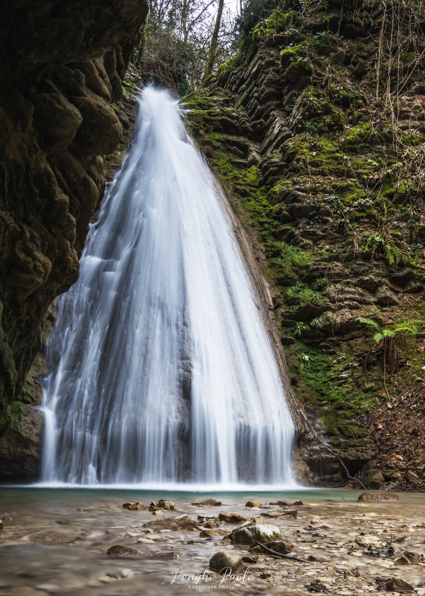BRIDAL VEIL