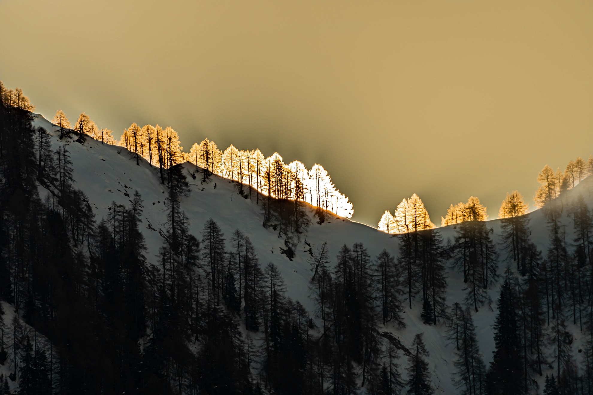 un'alba un po diversa