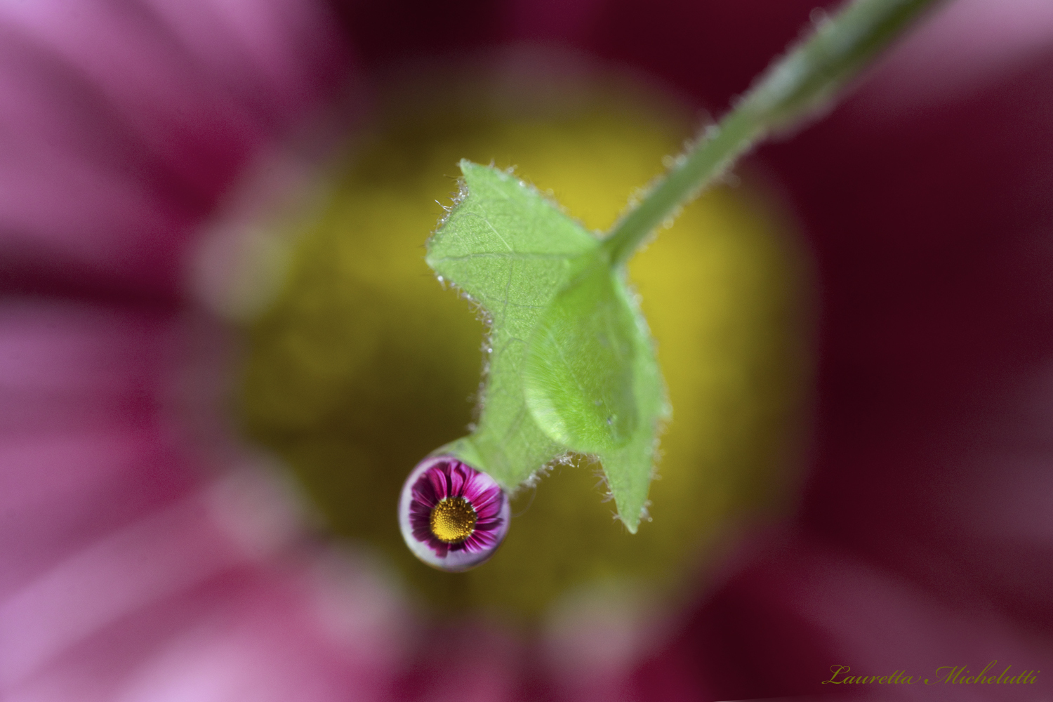 Droplet
