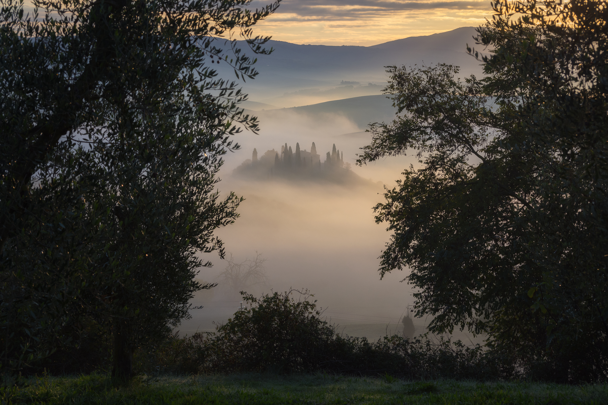 Fog in Val d'Orcia