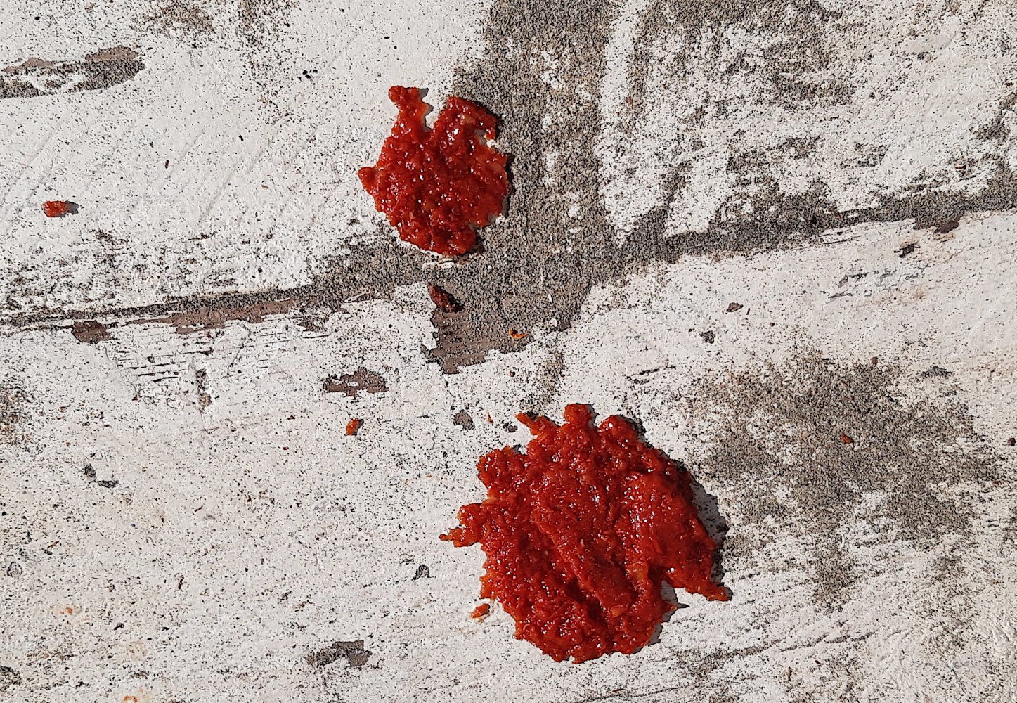 ... are you at the buoy? .. ?? bring the pizza, that of the ...