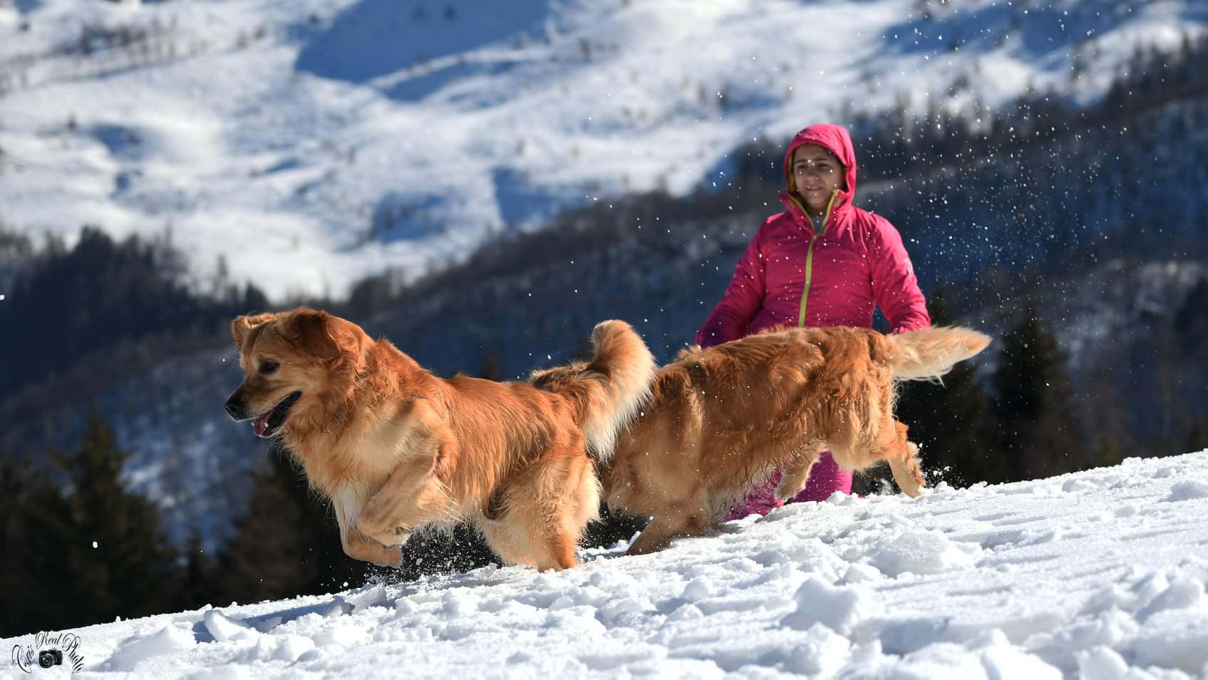 Giotto a caccia di palle di neve
