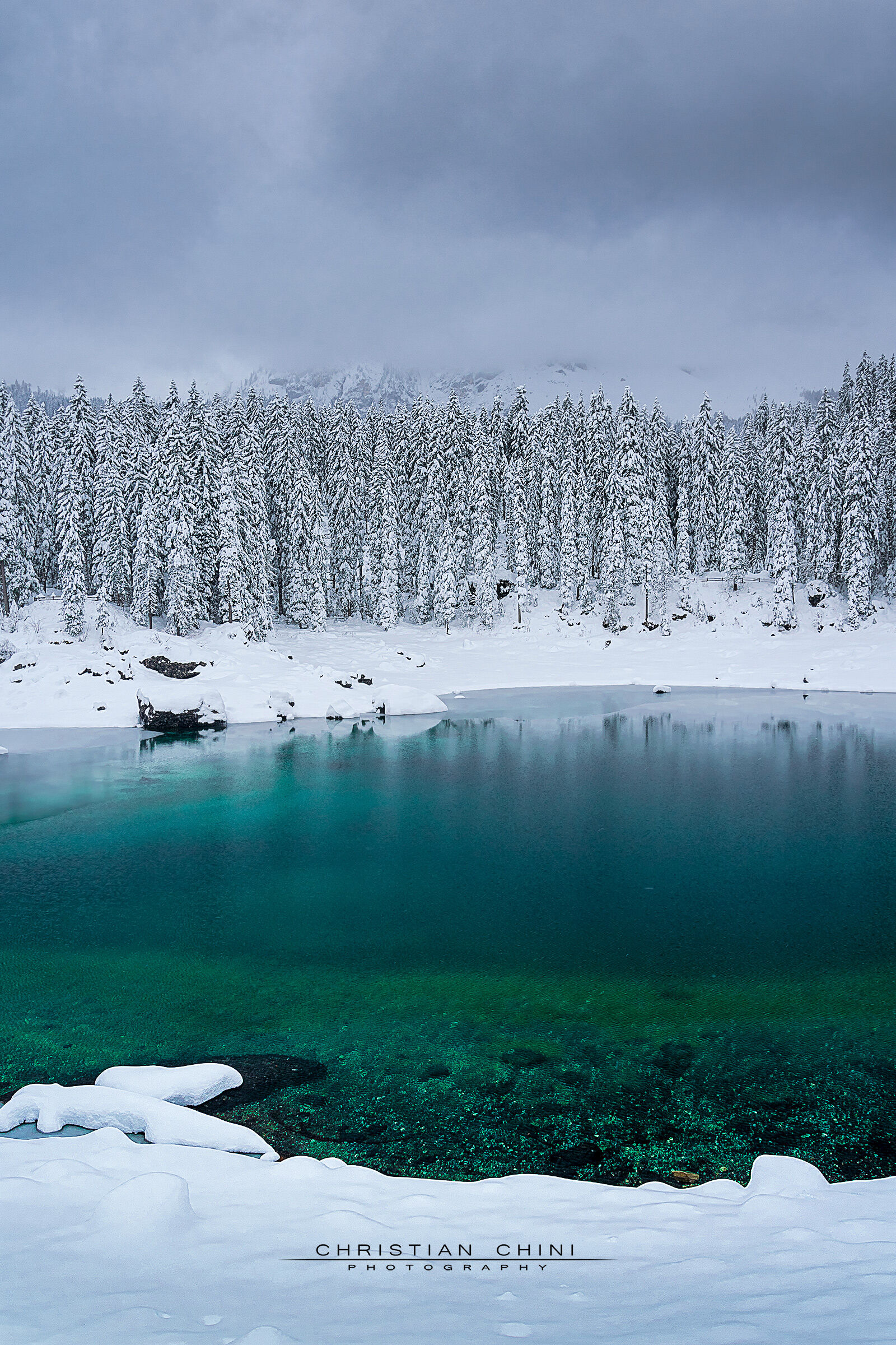 Vivido nel non vivido