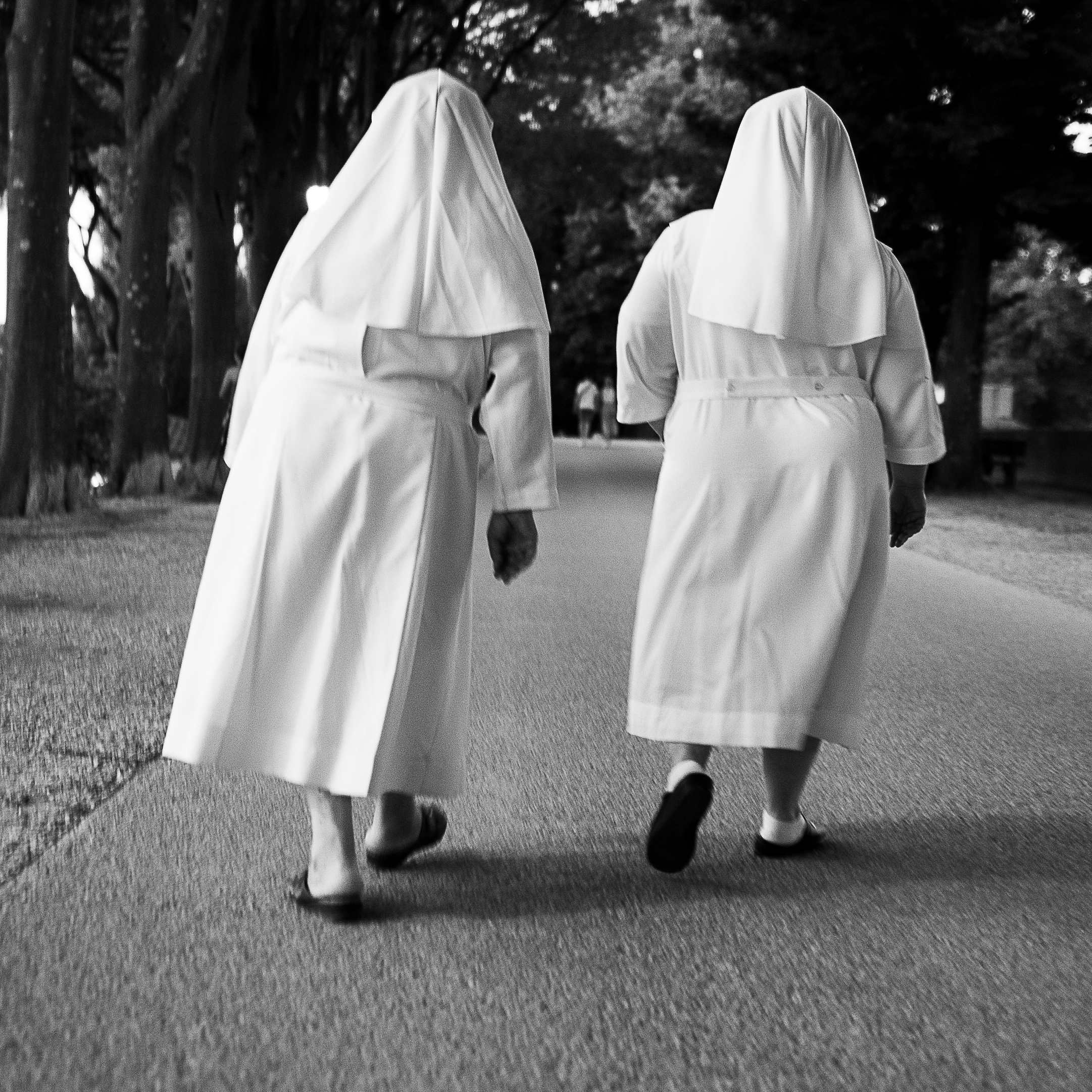 Ondeggiando sul viale.