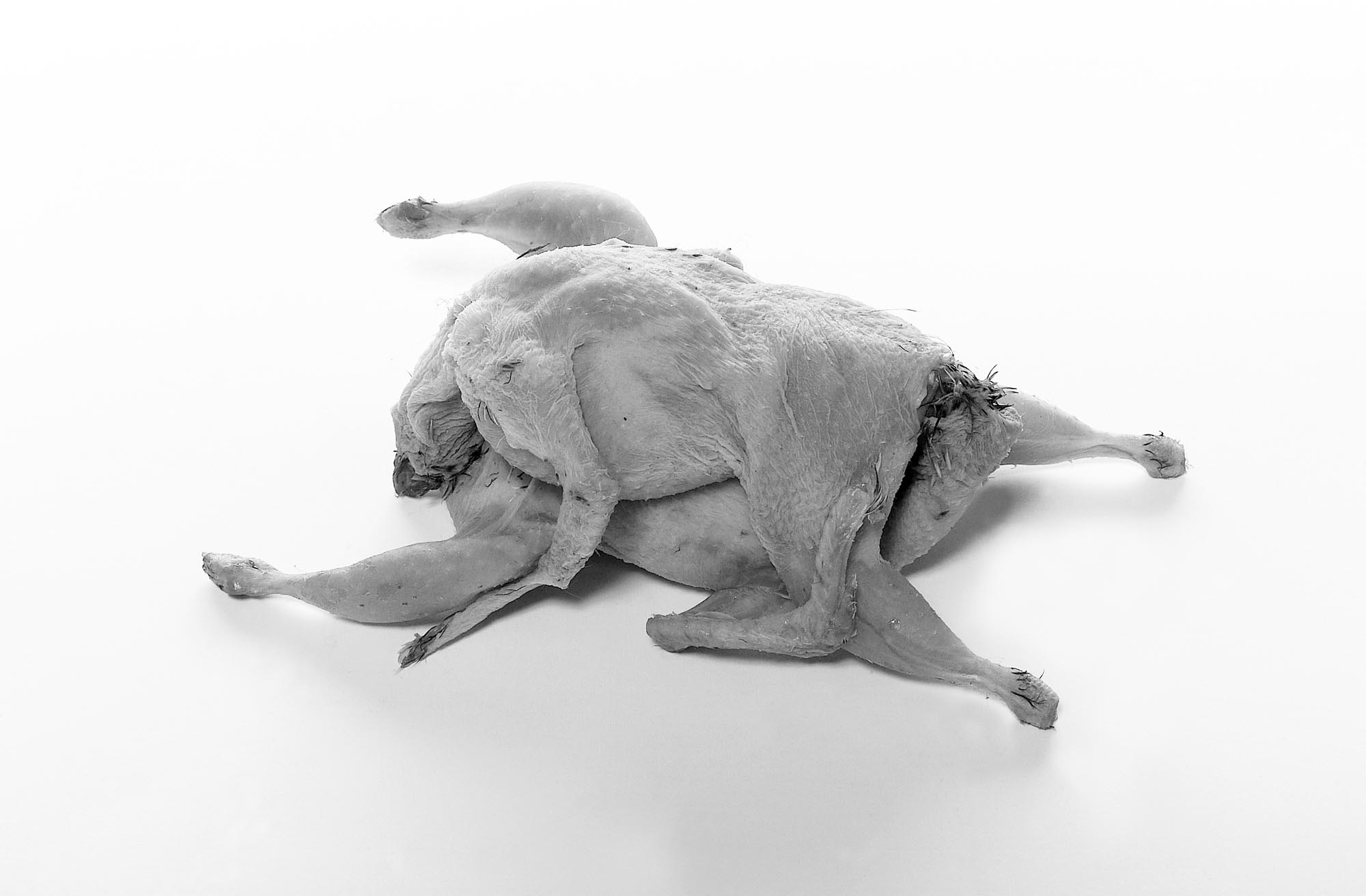 Untitled Photo