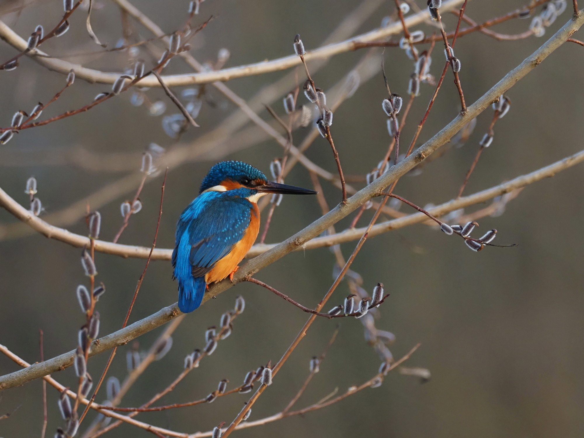 today 18 degrees is really spring