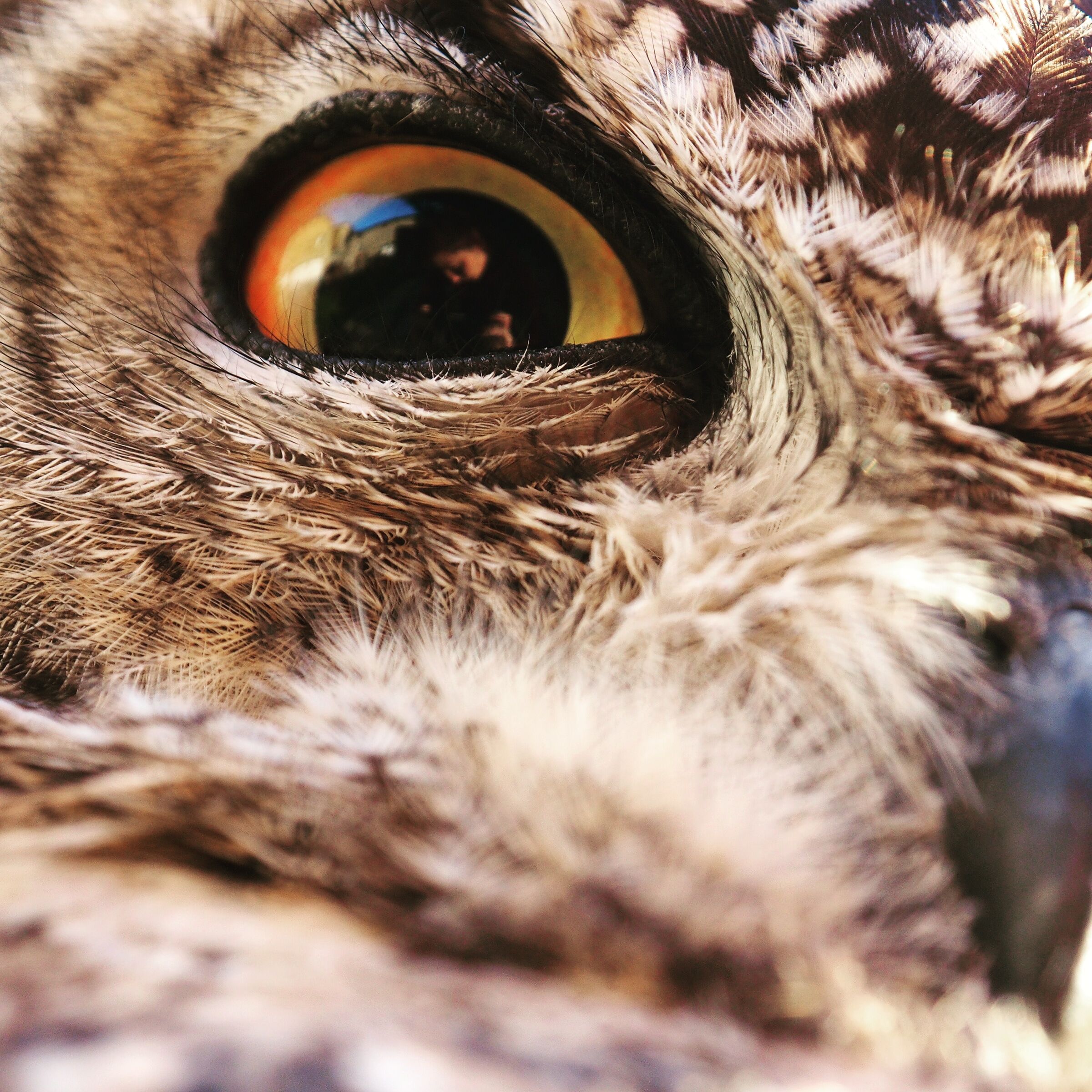 He hates me, I love him