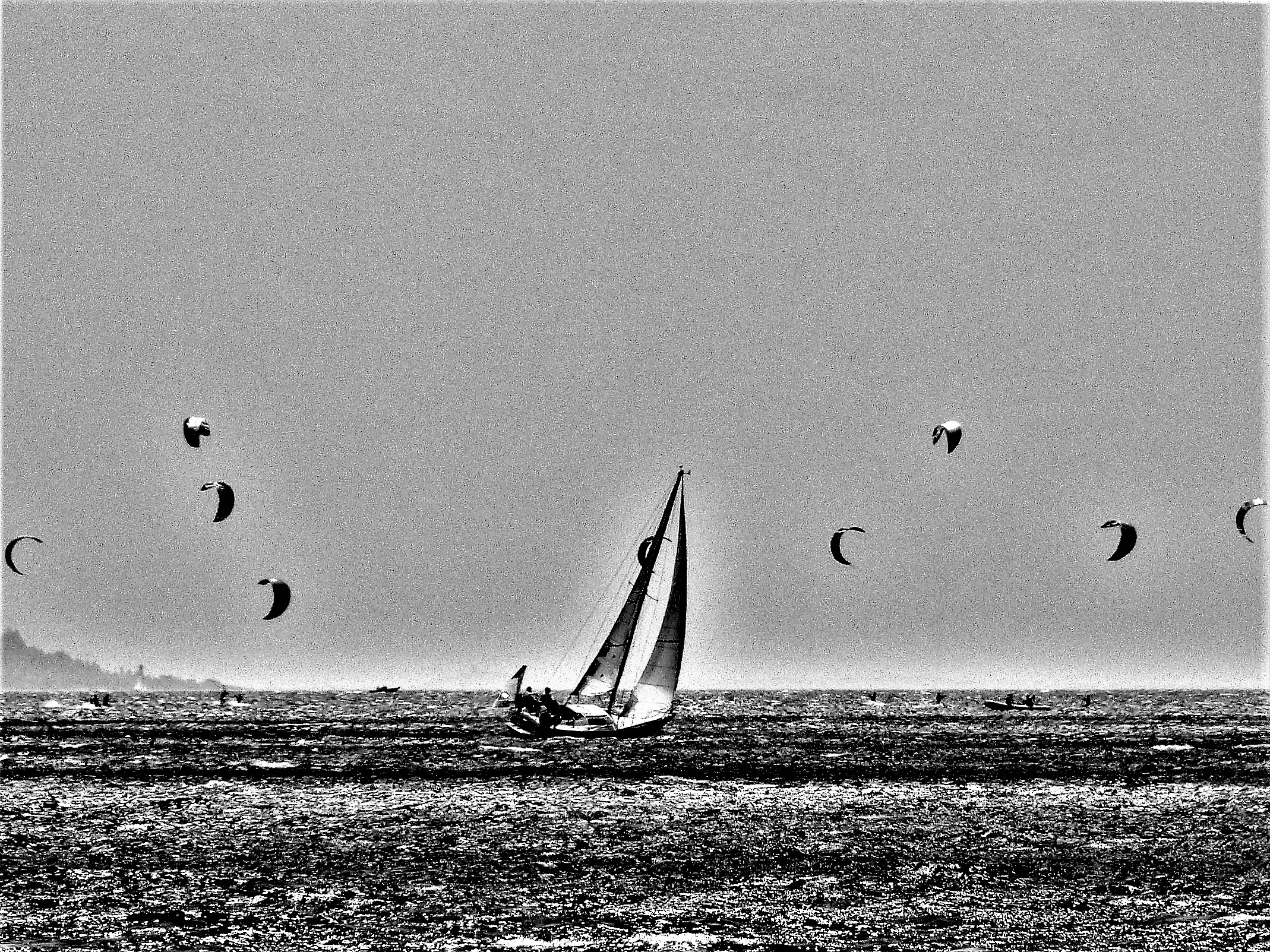 When the wind gets strong......