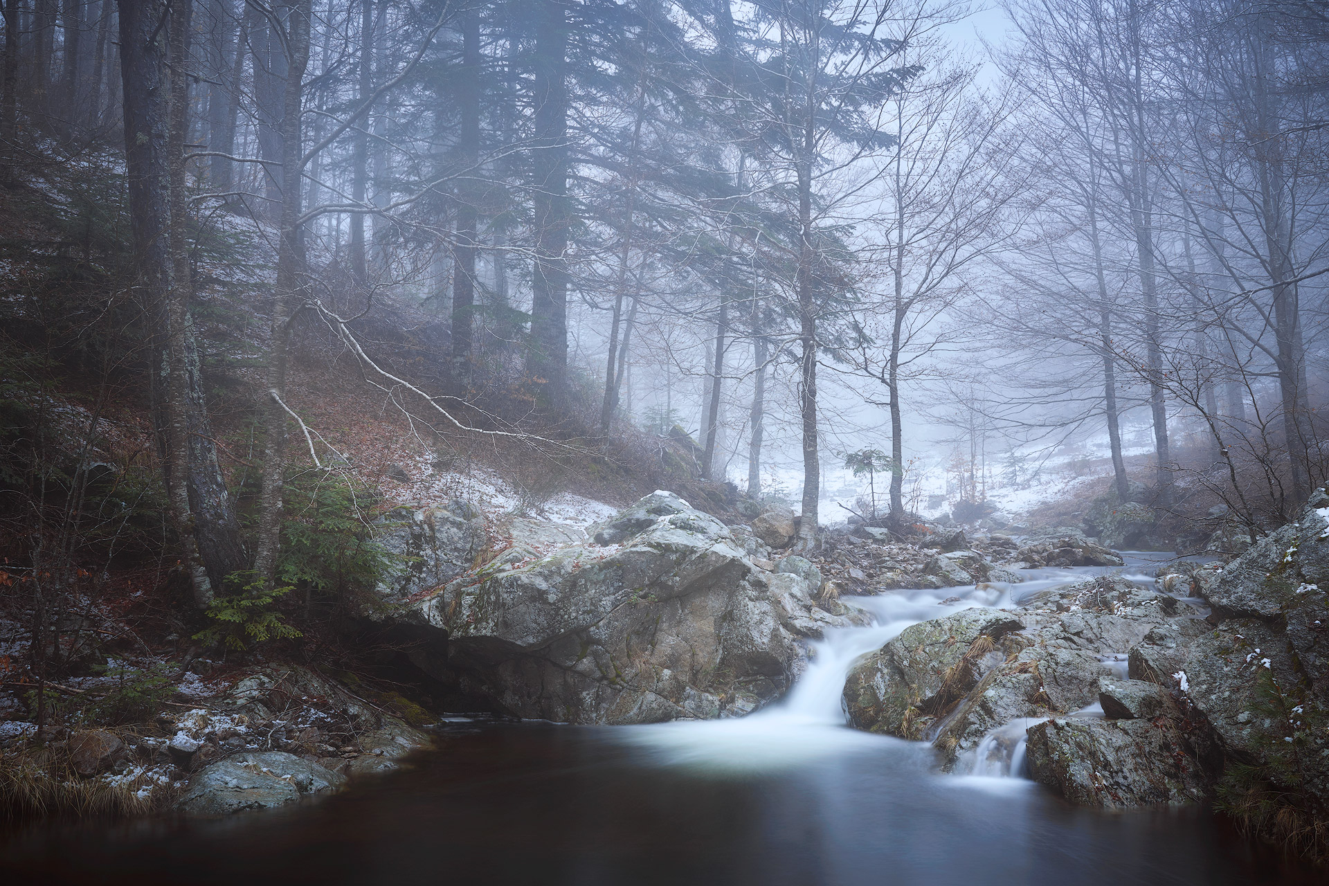 Puddle of the Marquise