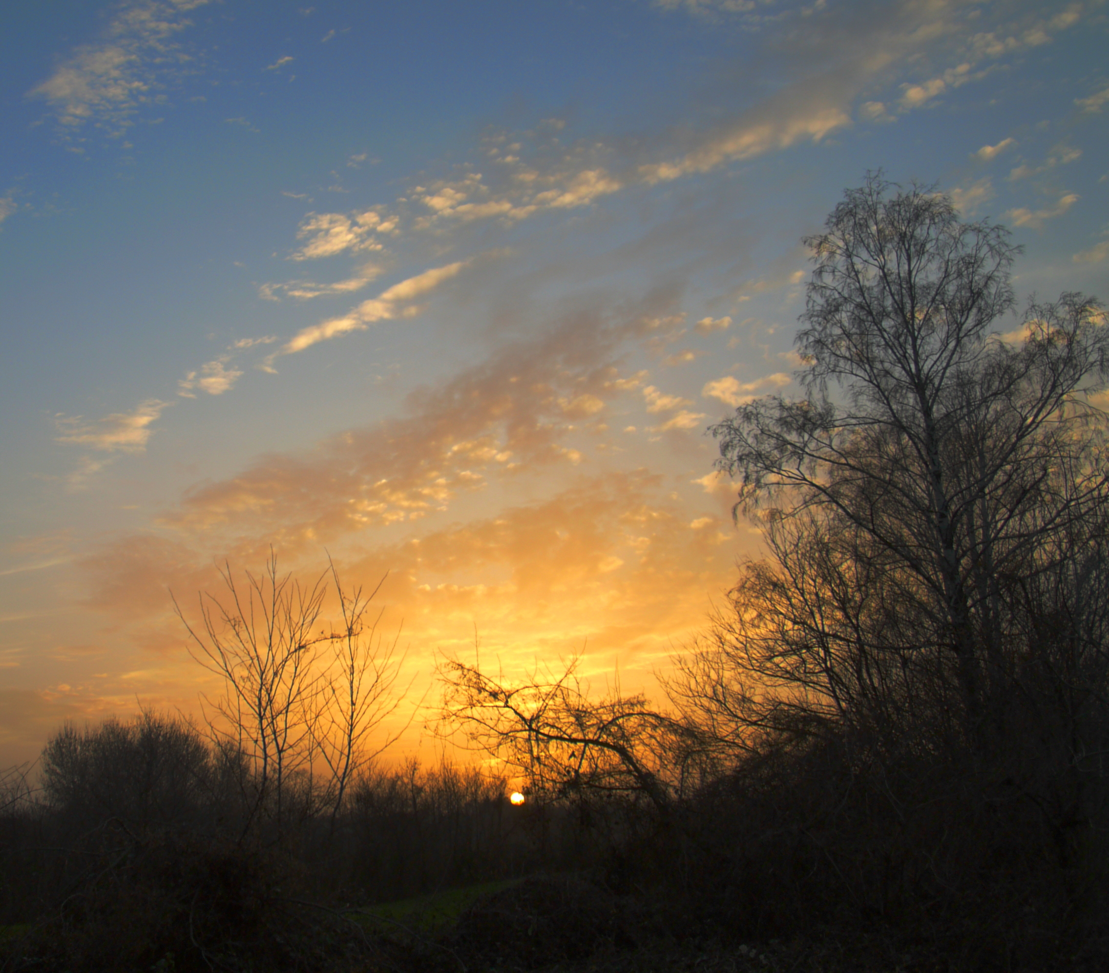 sunset