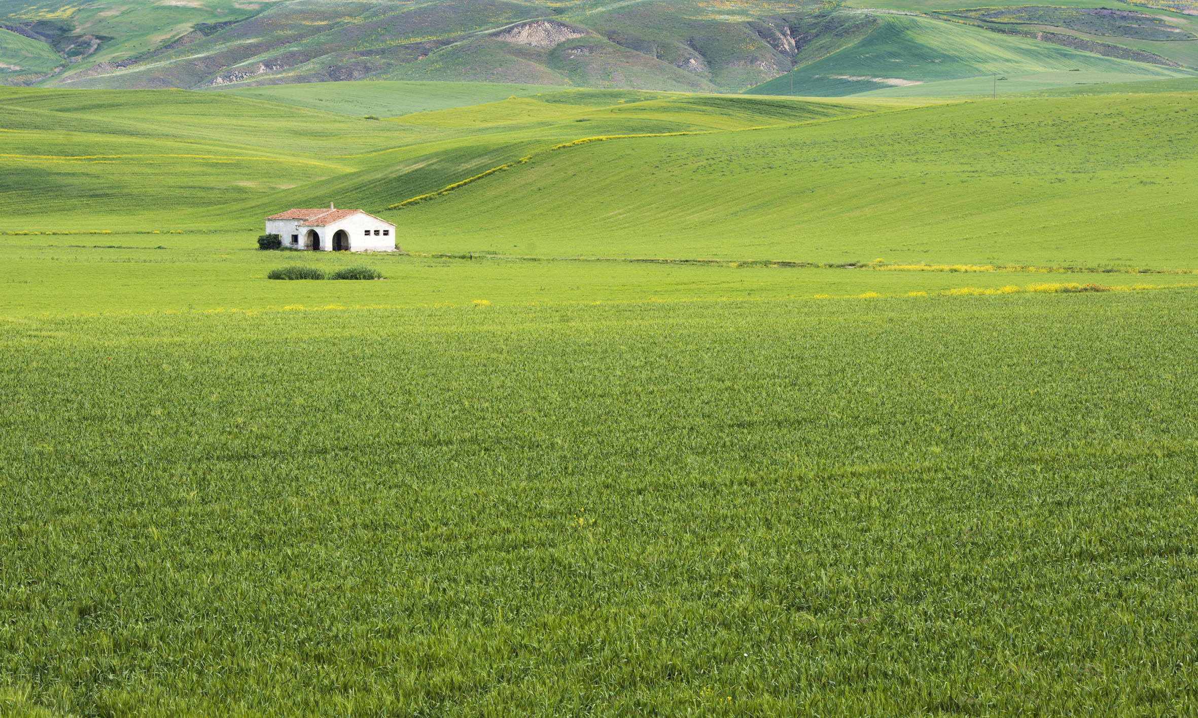 casolare nella prateria