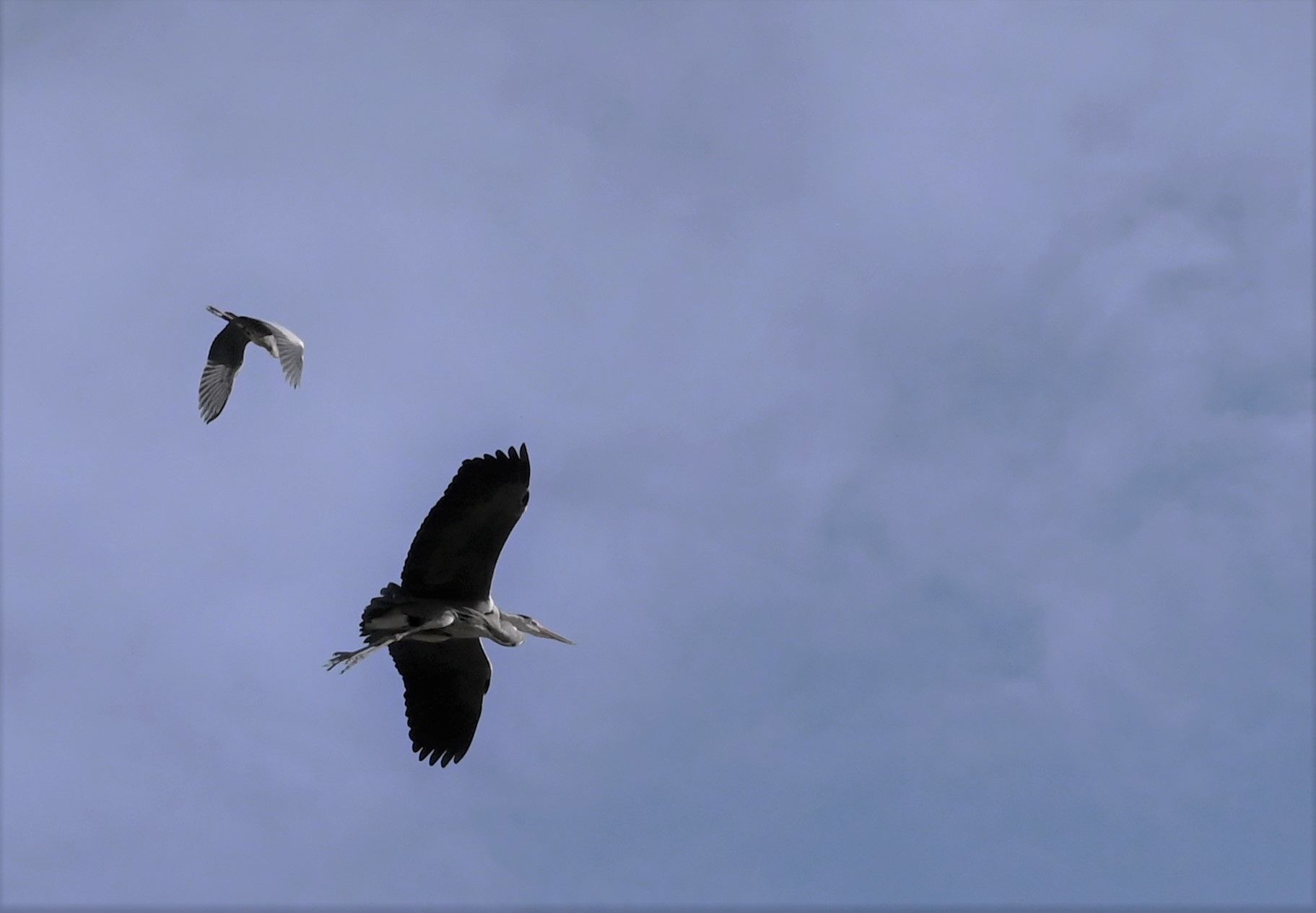 Practicing me for a suitable goal....