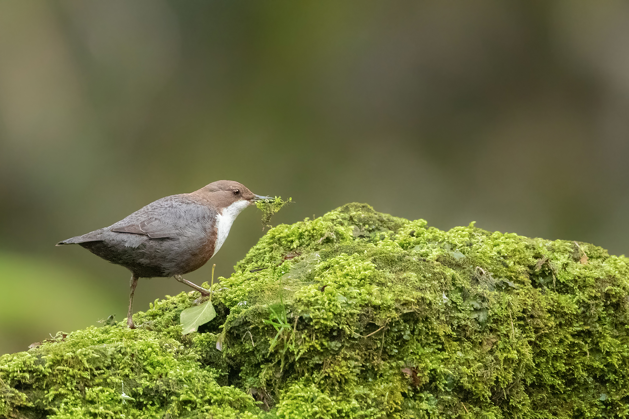 construction site in progress