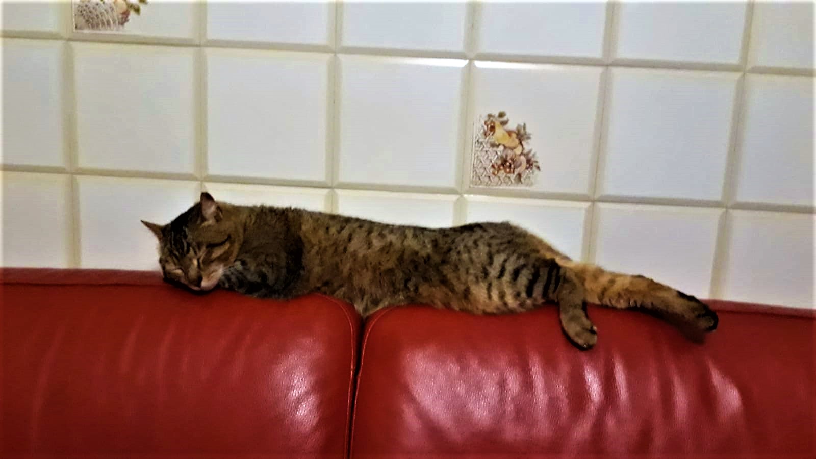 Nap..