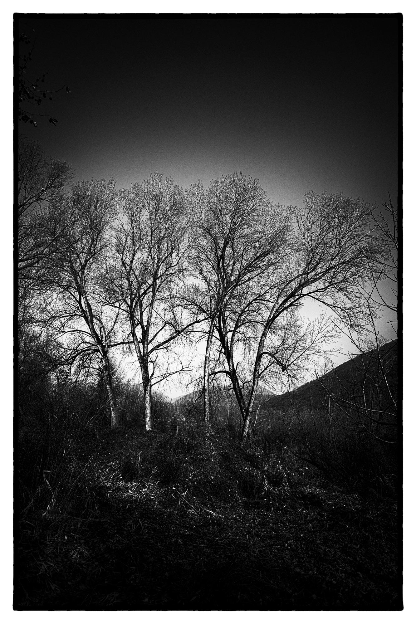 Passeggiando in Torbiera