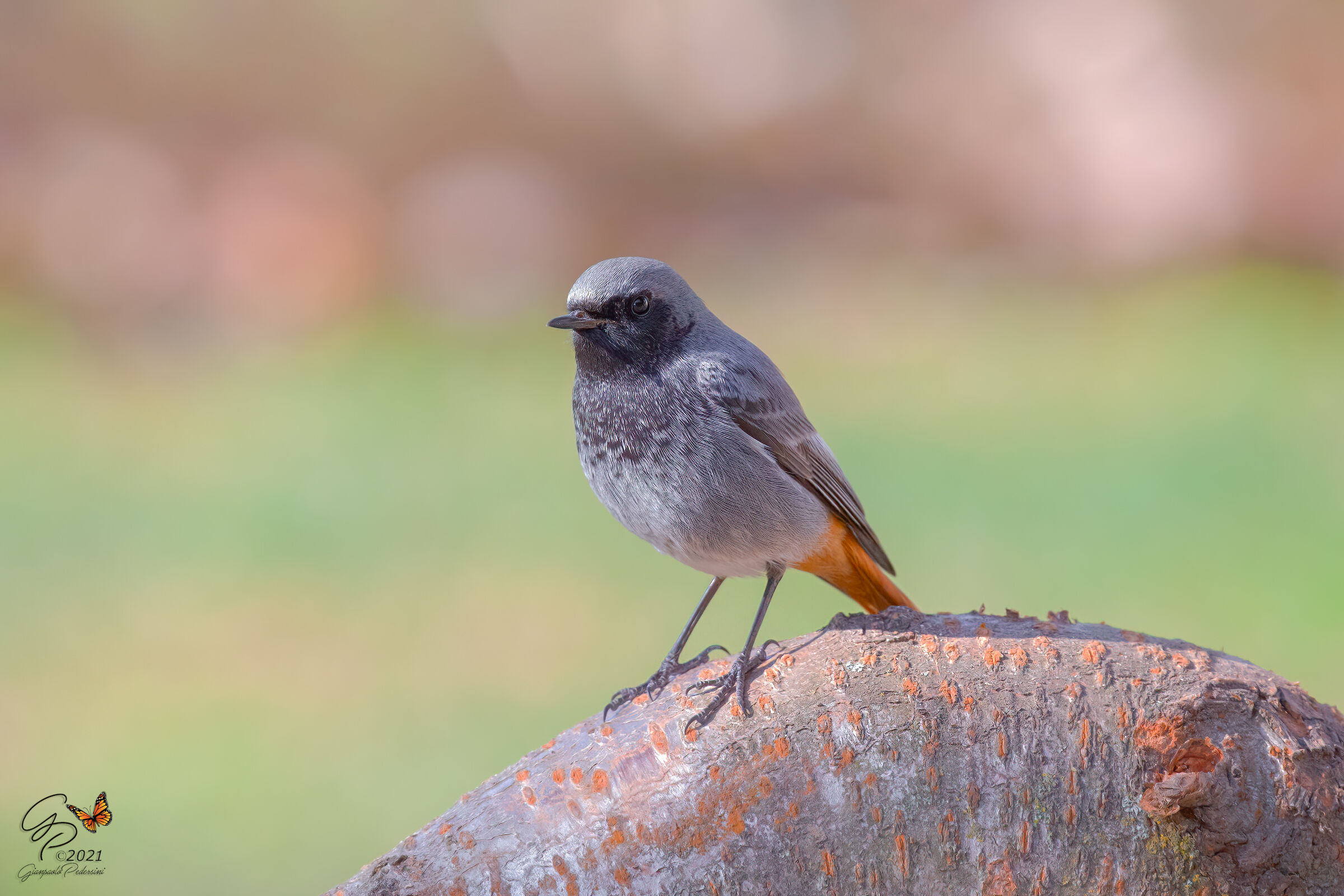 Prove 5D Mk III (4000 iso)