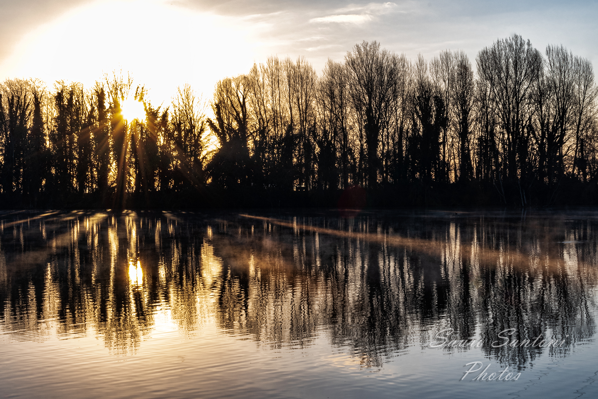 Alba Stazione Violani Alfonsine
