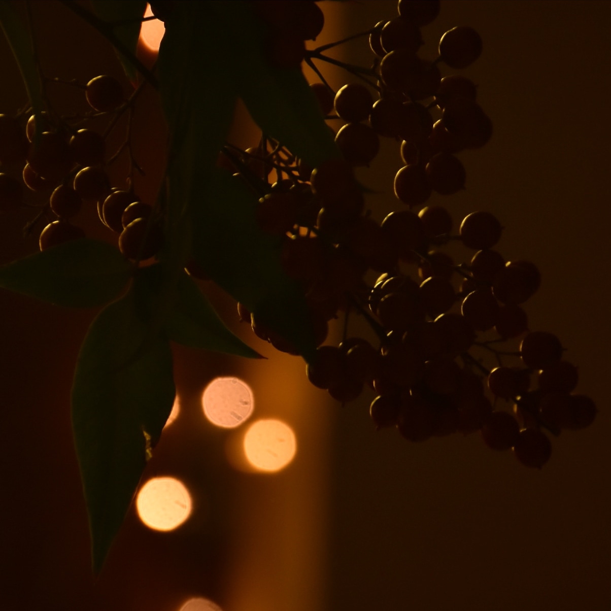 Playing with lights 2